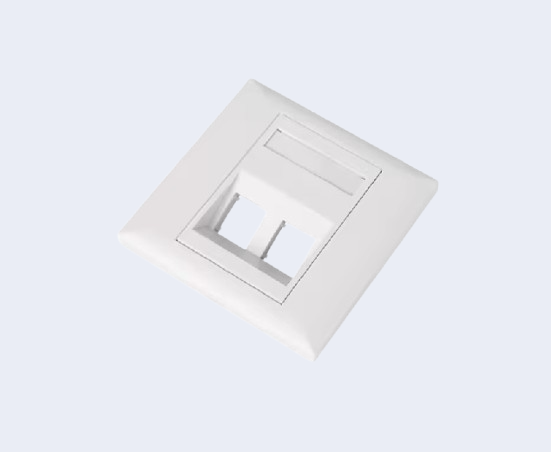 Fiber Indoor Plastic Faceplate Double Ports