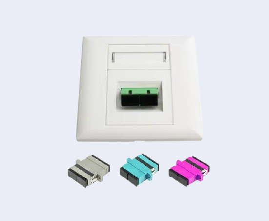 Fiber Indoor Plastic Faceplate Double Ports