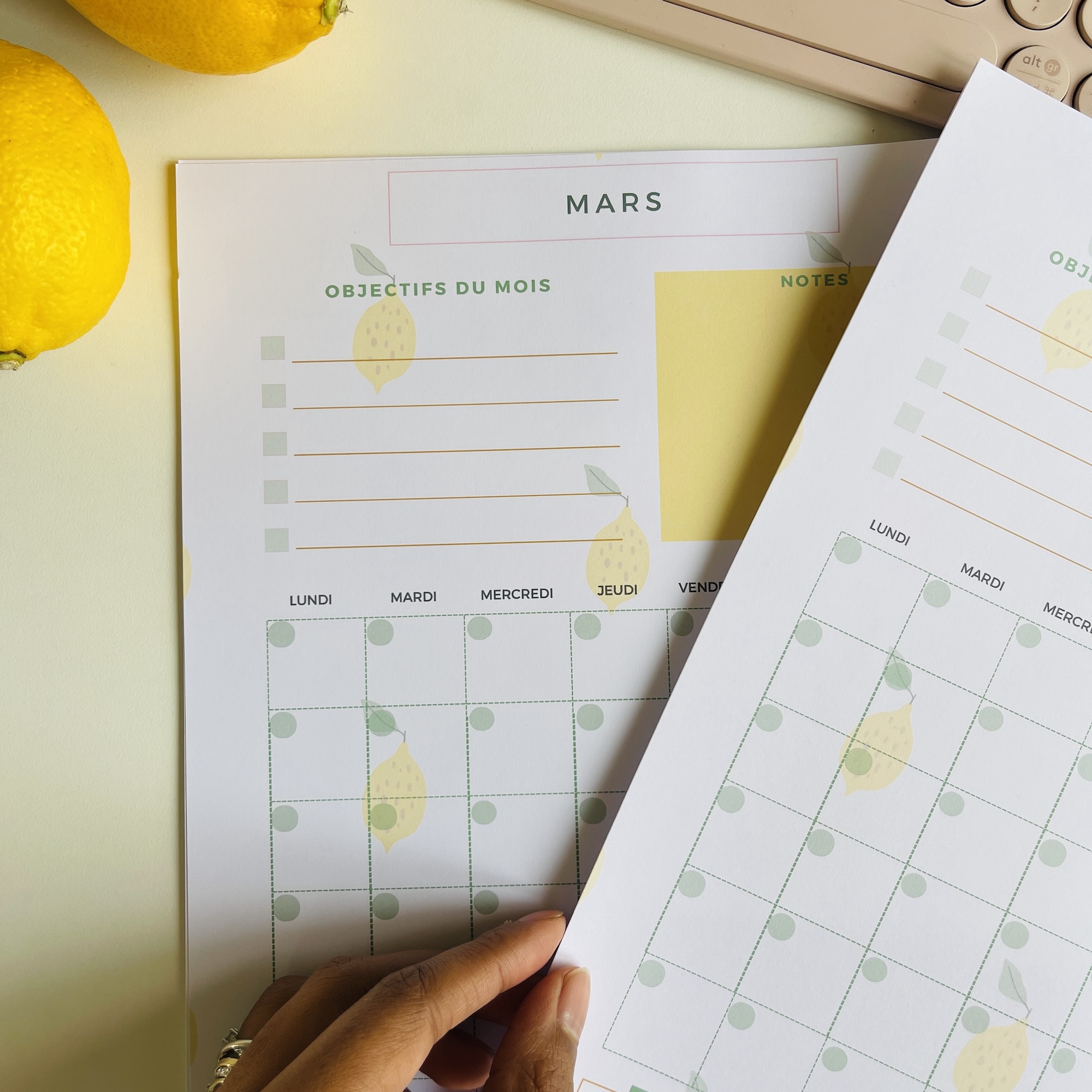 PLANIFICATEUR MENSUEL x12 Mois