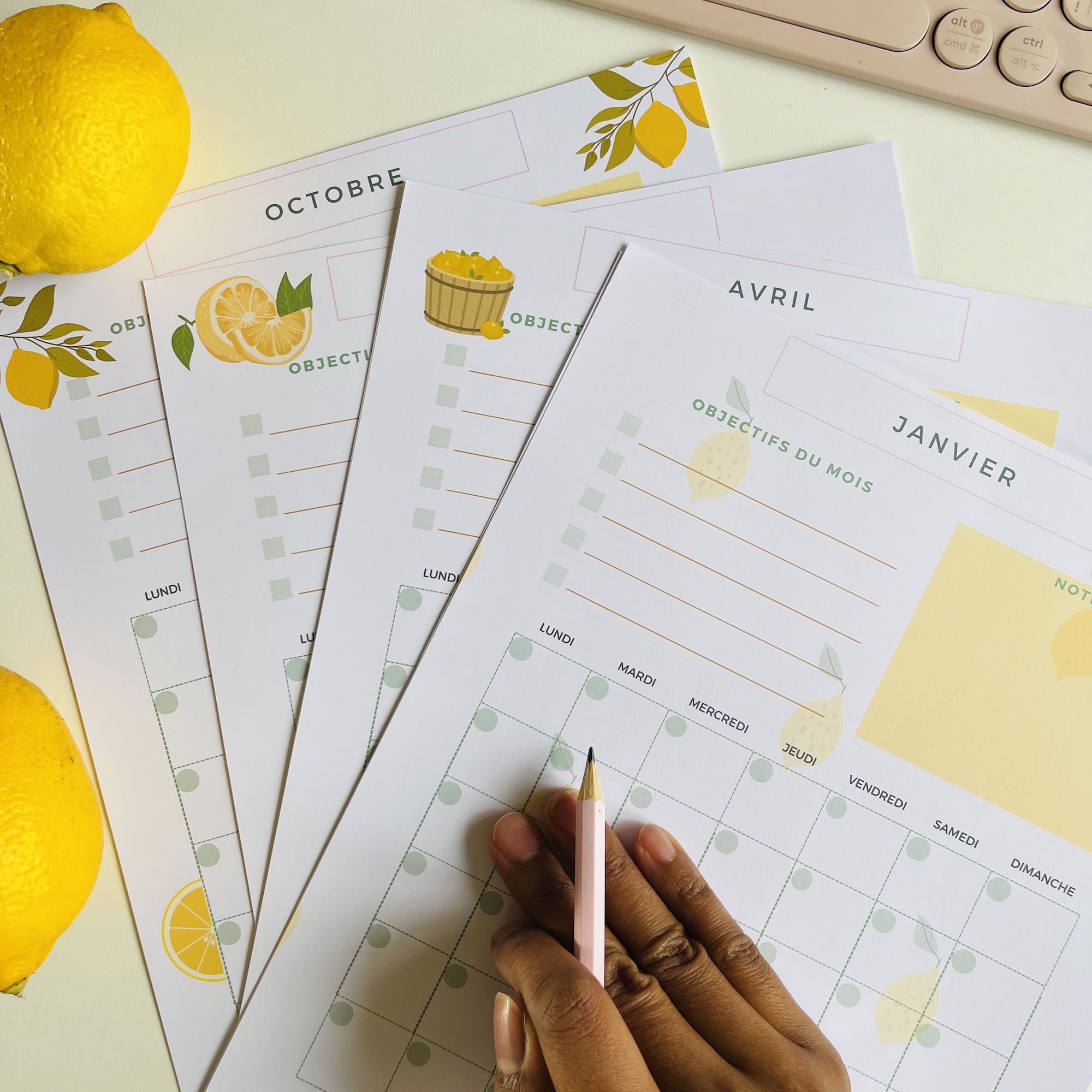 PLANIFICATEUR MENSUEL x12 Mois