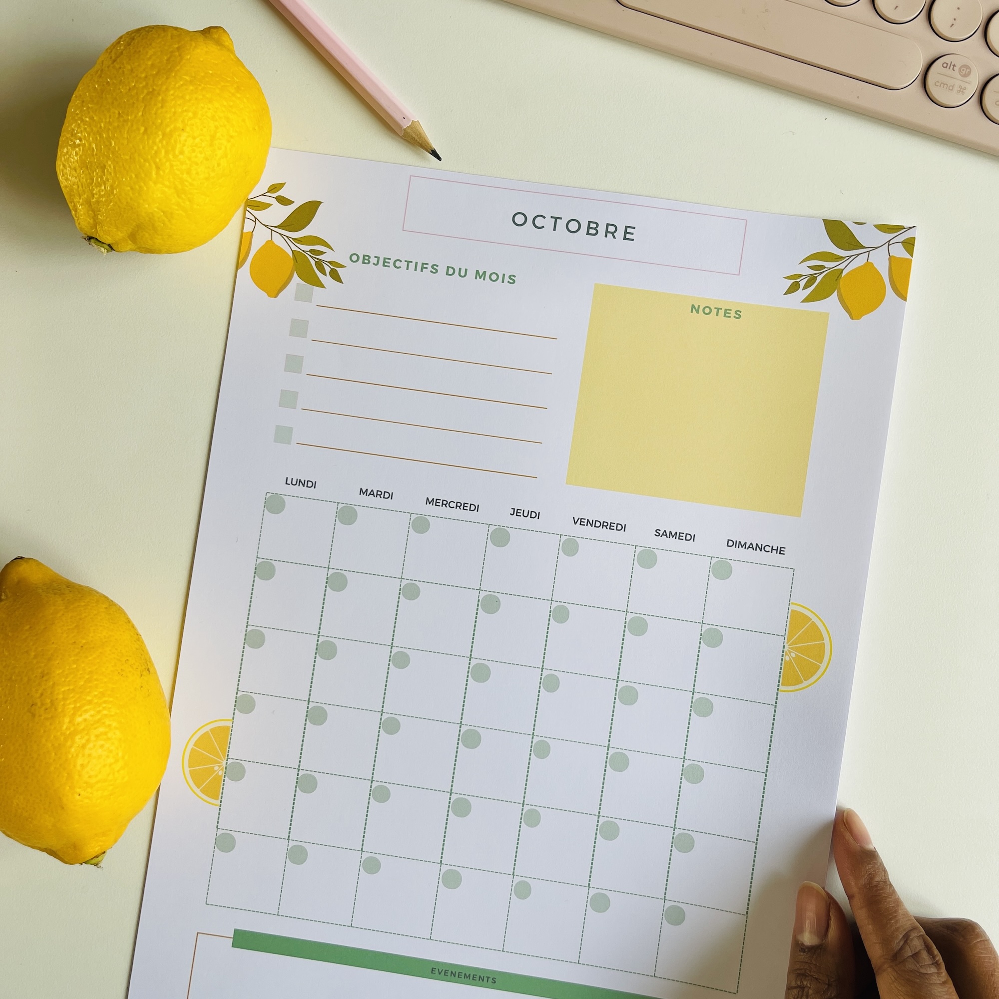 PLANIFICATEUR MENSUEL x12 Mois