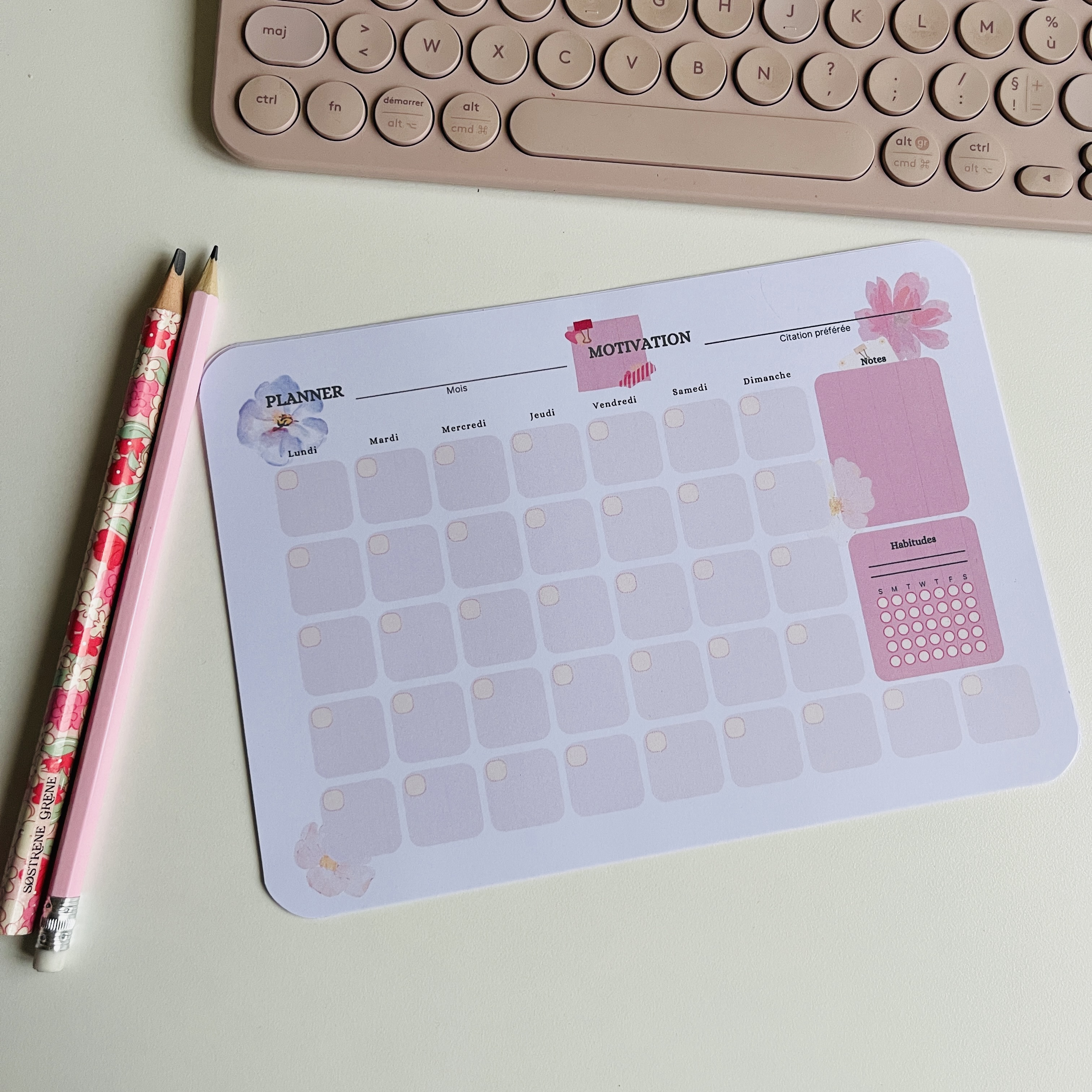 PLANIFICATEUR MENSUEL x12 Mois