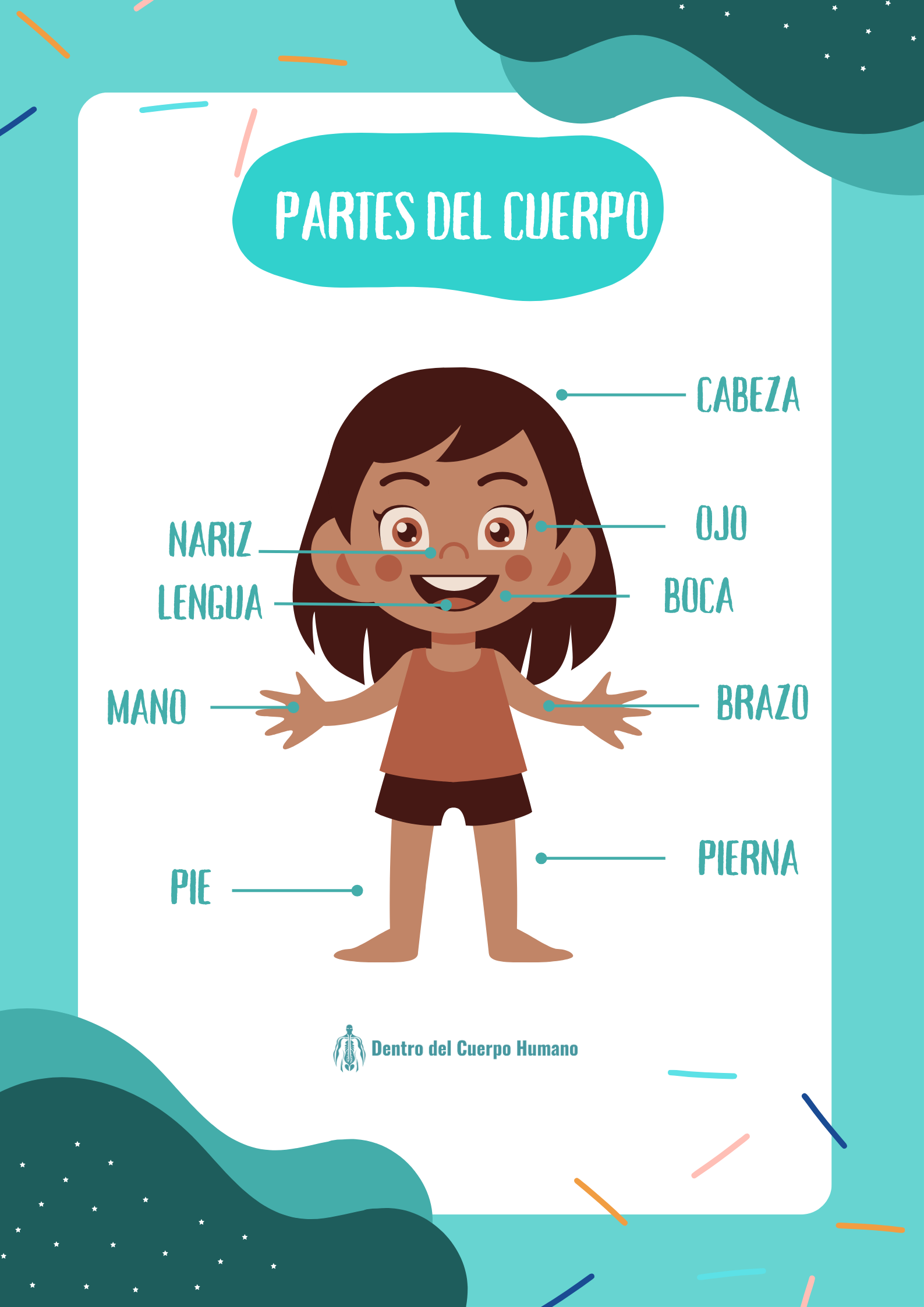 Partes del Cuerpo (Infantil)
