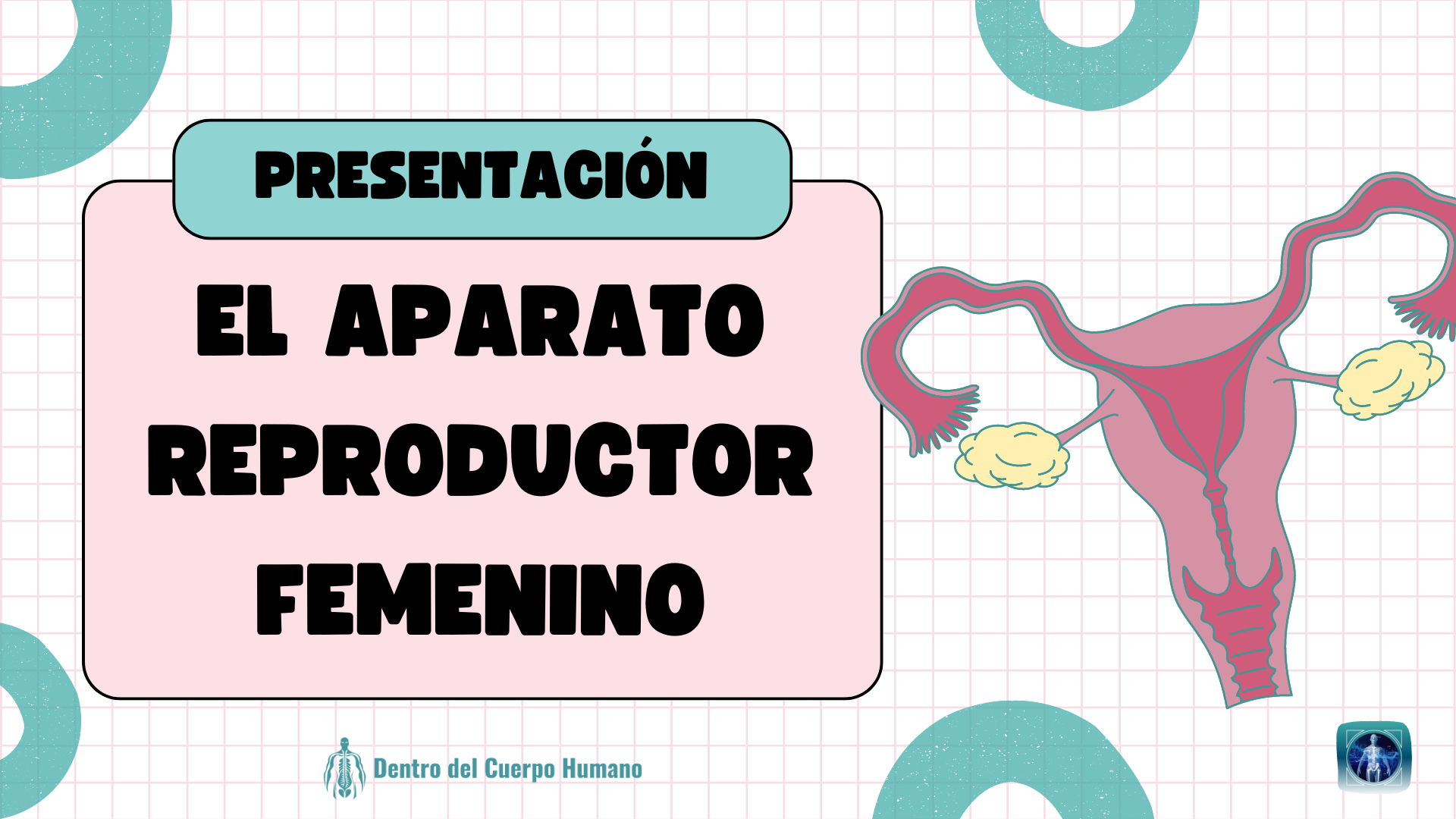 El Aparato Reproductor Femenino