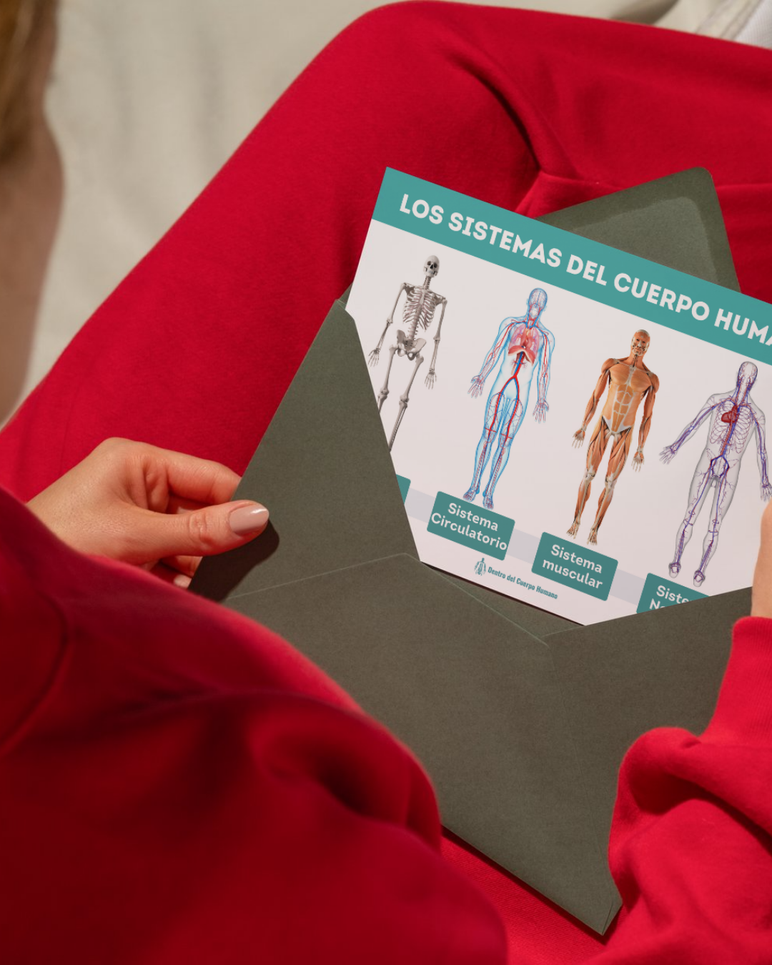 Póster Educativo de los Sistemas del Cuerpo Humano