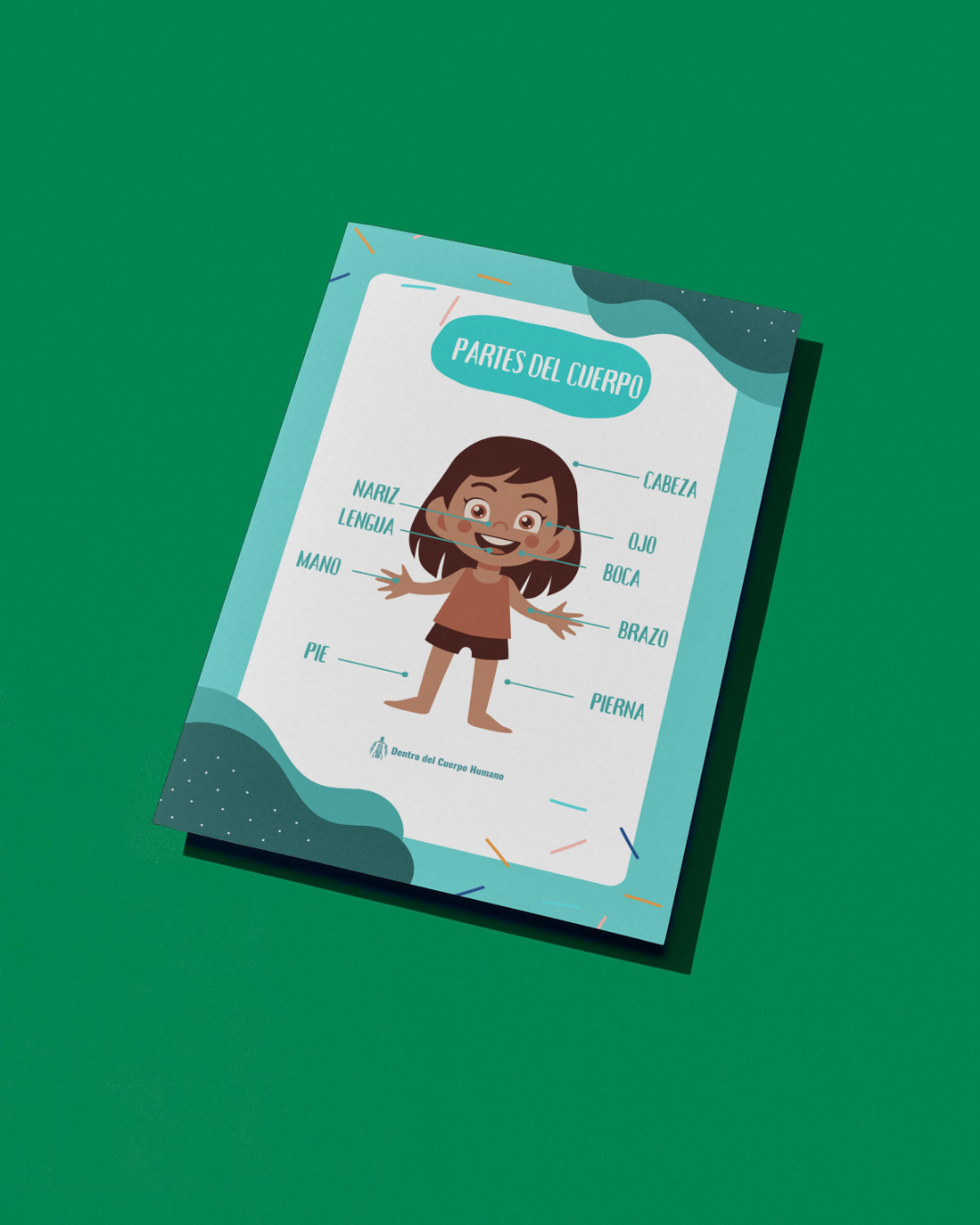 Partes del Cuerpo (Infantil)