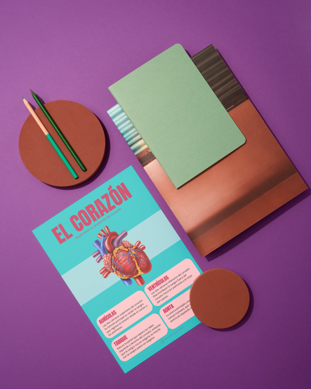 EL CORAZÓN