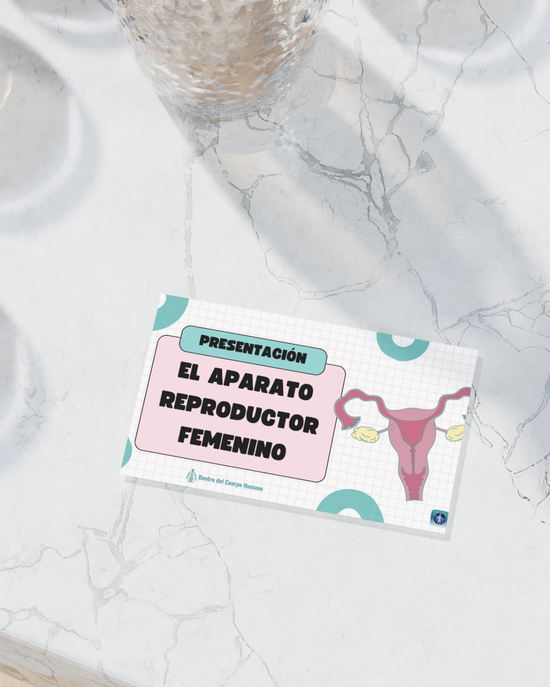 El Aparato Reproductor Femenino