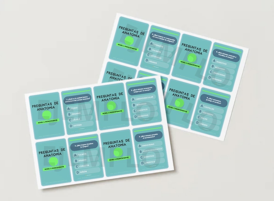FLASHCARDS DE ANATOMÍA. NIVEL 1: PRINCIPIANTE