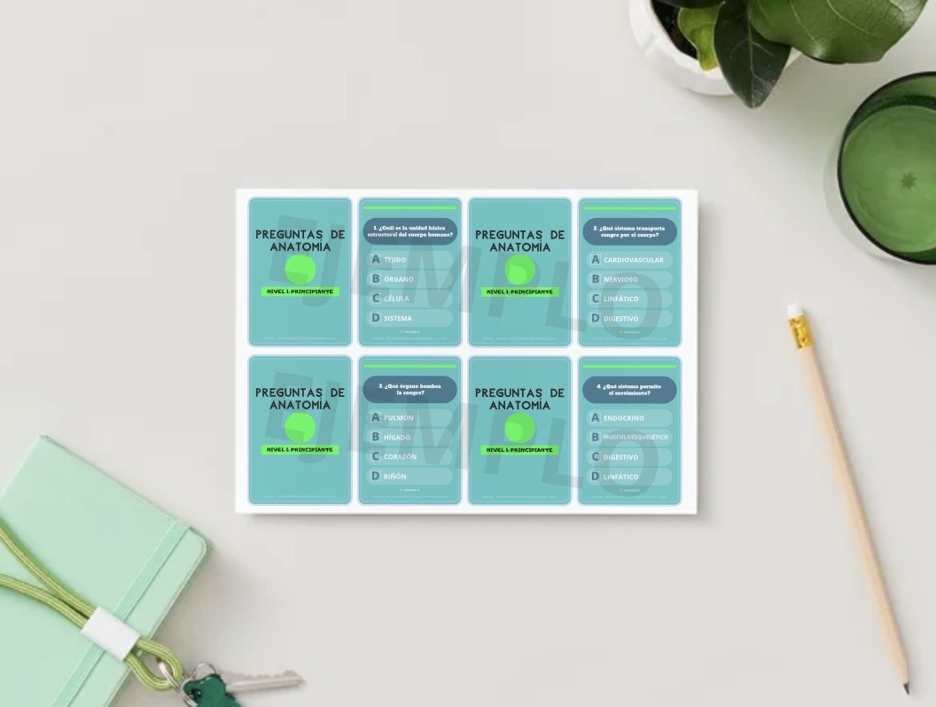 FLASHCARDS DE ANATOMÍA. NIVEL 1: PRINCIPIANTE