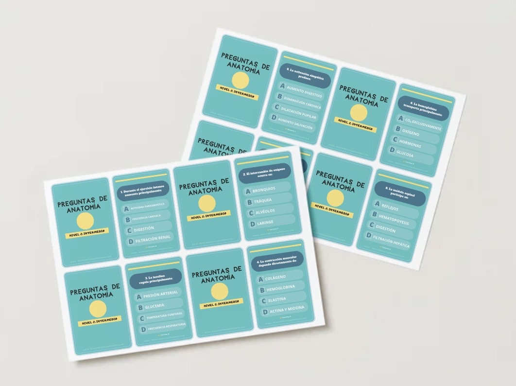 FLASHCARDS DE ANATOMÍA. NIVEL 2: INTERMEDIO