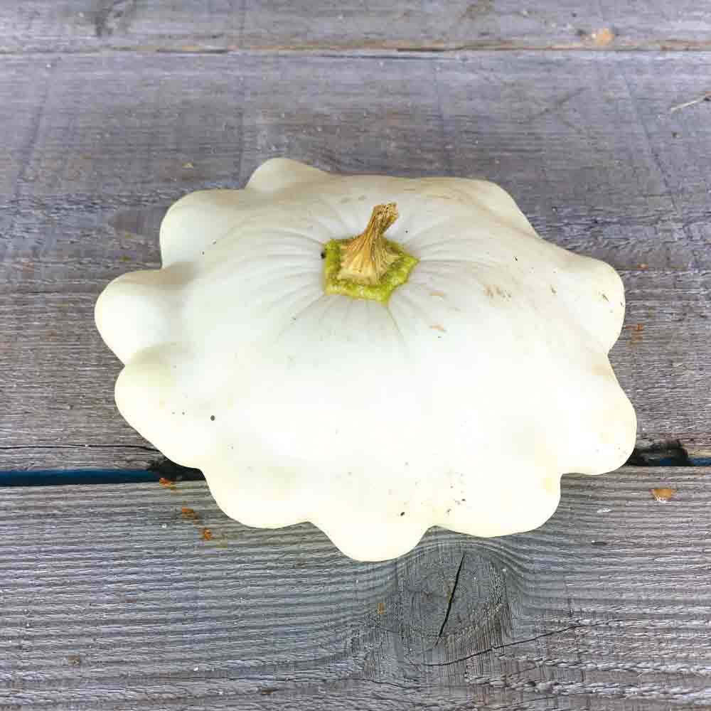 Pâtisson (Le Kg)