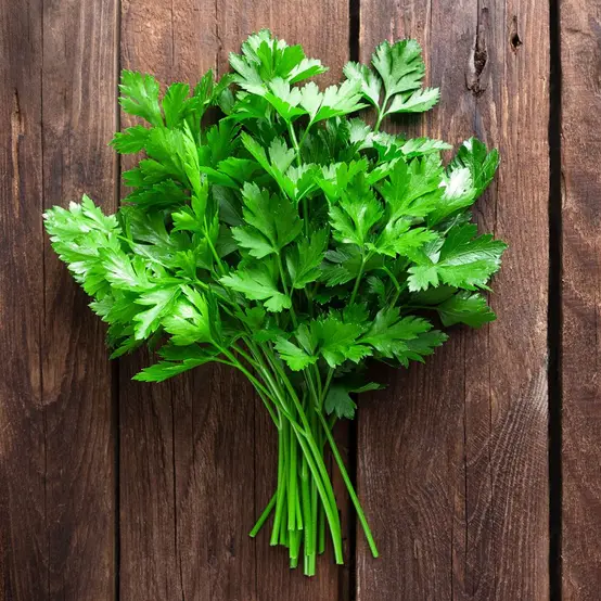 Persil (Le bouquet)