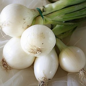 Oignon blanc