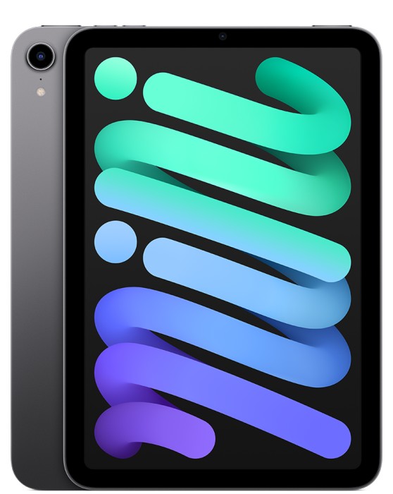 iPad mini (2021) | 8.3" 256 GB | rymdgrå