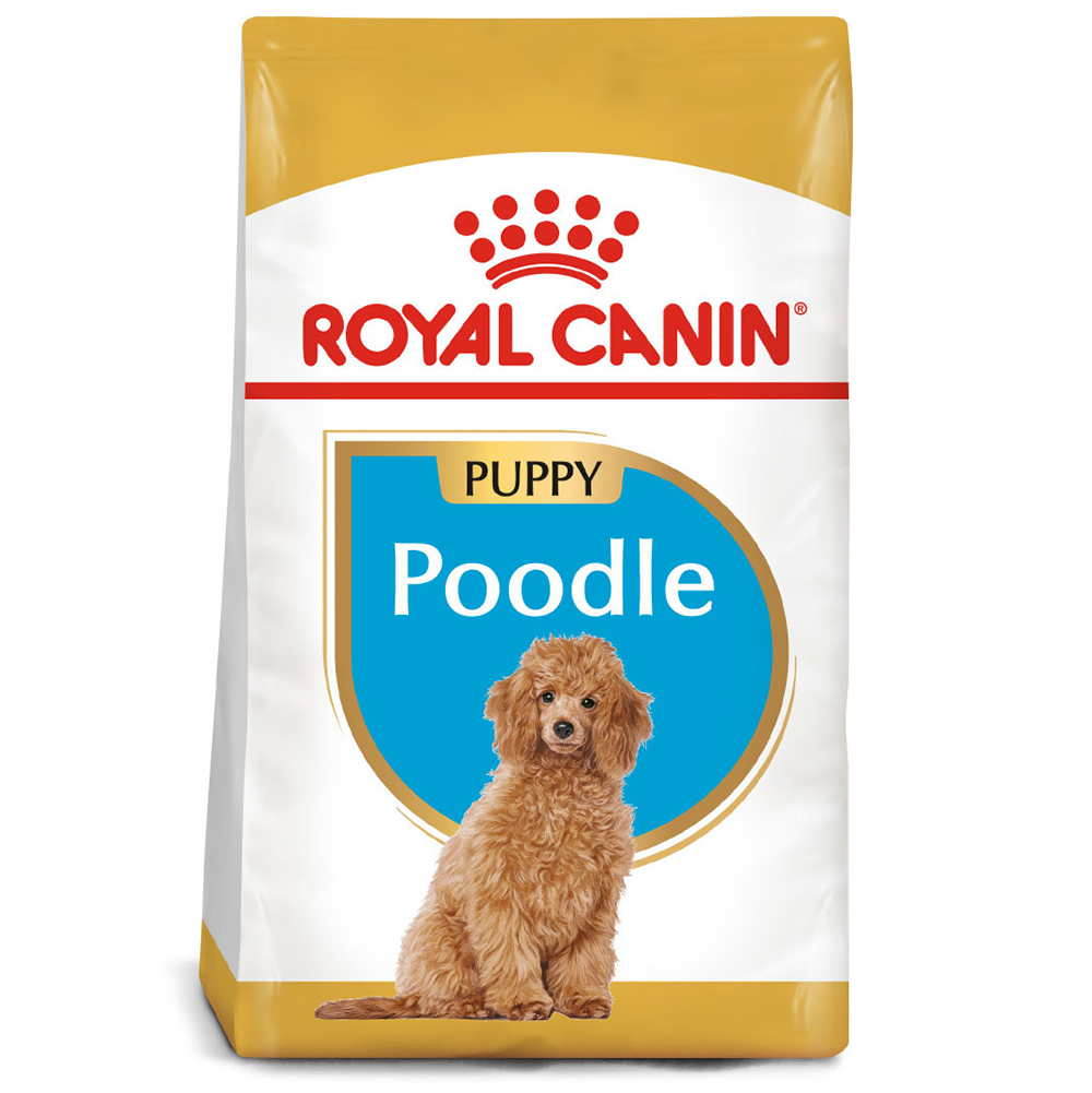 ROYAL CANIN POODLE PUPPY