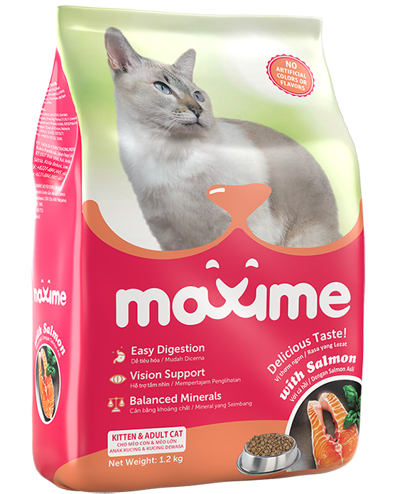 MAXIME CAT KITTEN & ADULT