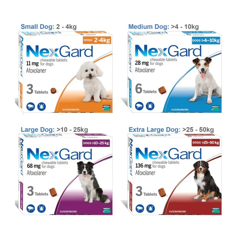 NEXGARD NGỪA VE