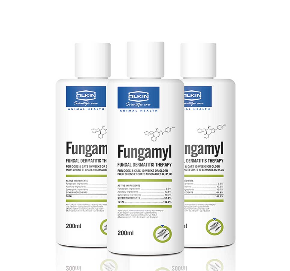 Sữa Tắm Fungamyl Trị Nấm, Vảy Gàu Cho Chó Mèo