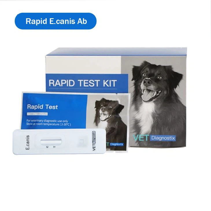 Kit Test Ehrlichia canis