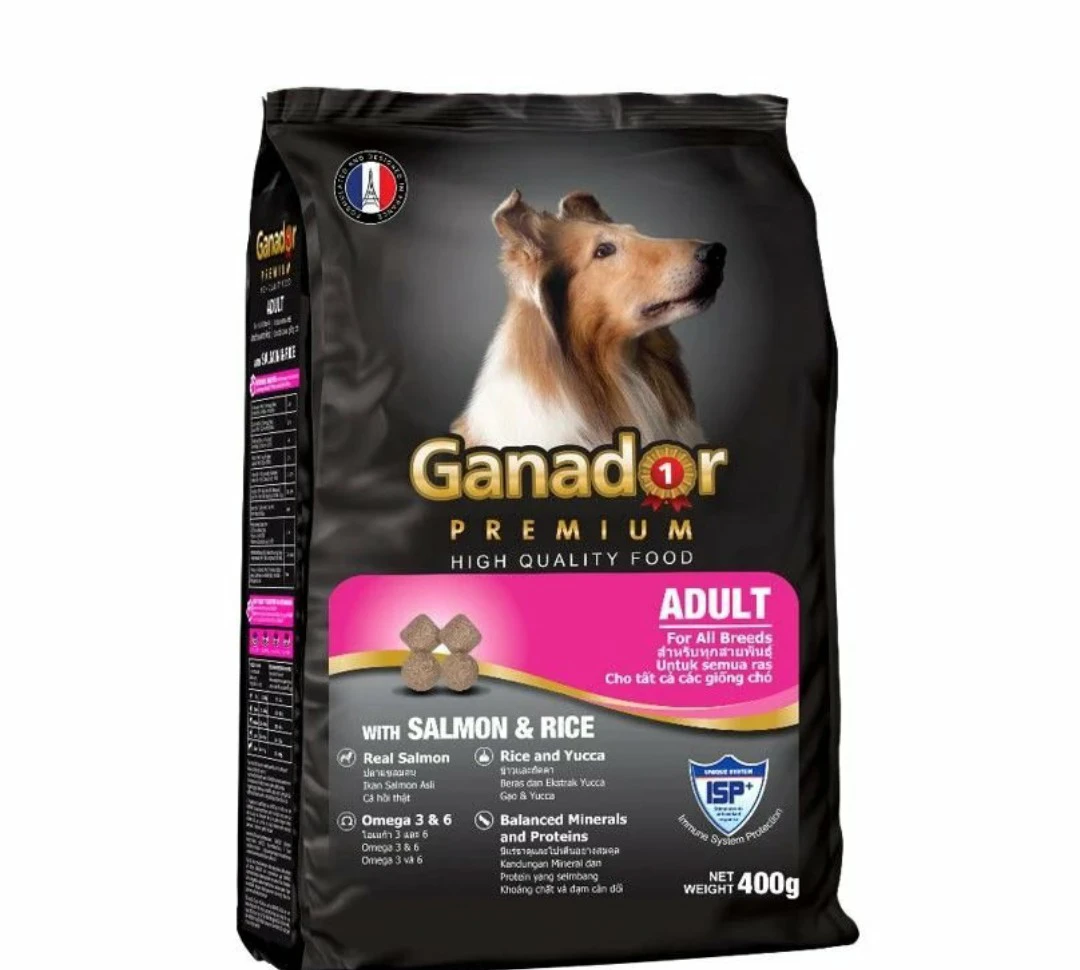 GANADOR ADULT - CHÓ LỚN VỊ CÁ HỒI & GẠO