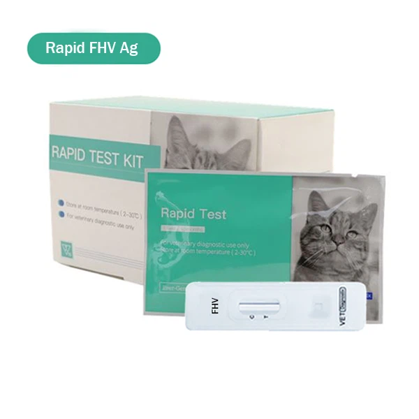Kit Test Virus Herpes