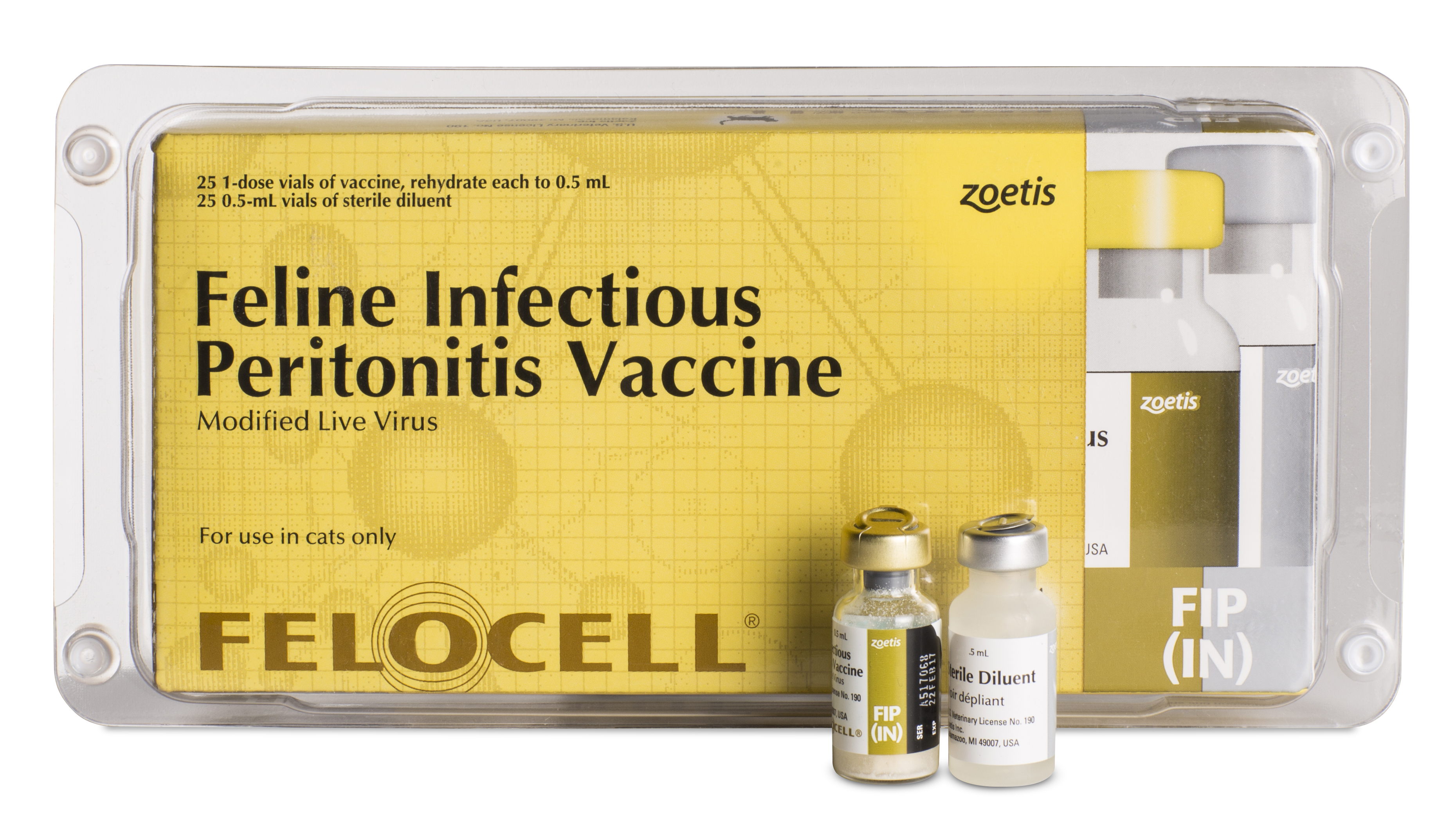 Vaccine FIP Phòng Bệnh Viêm Phúc Mạc Cho Mèo