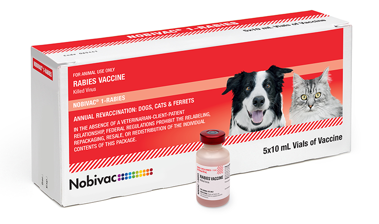 Vaccine Ngừa Dại Chó Mèo 1 Năm
