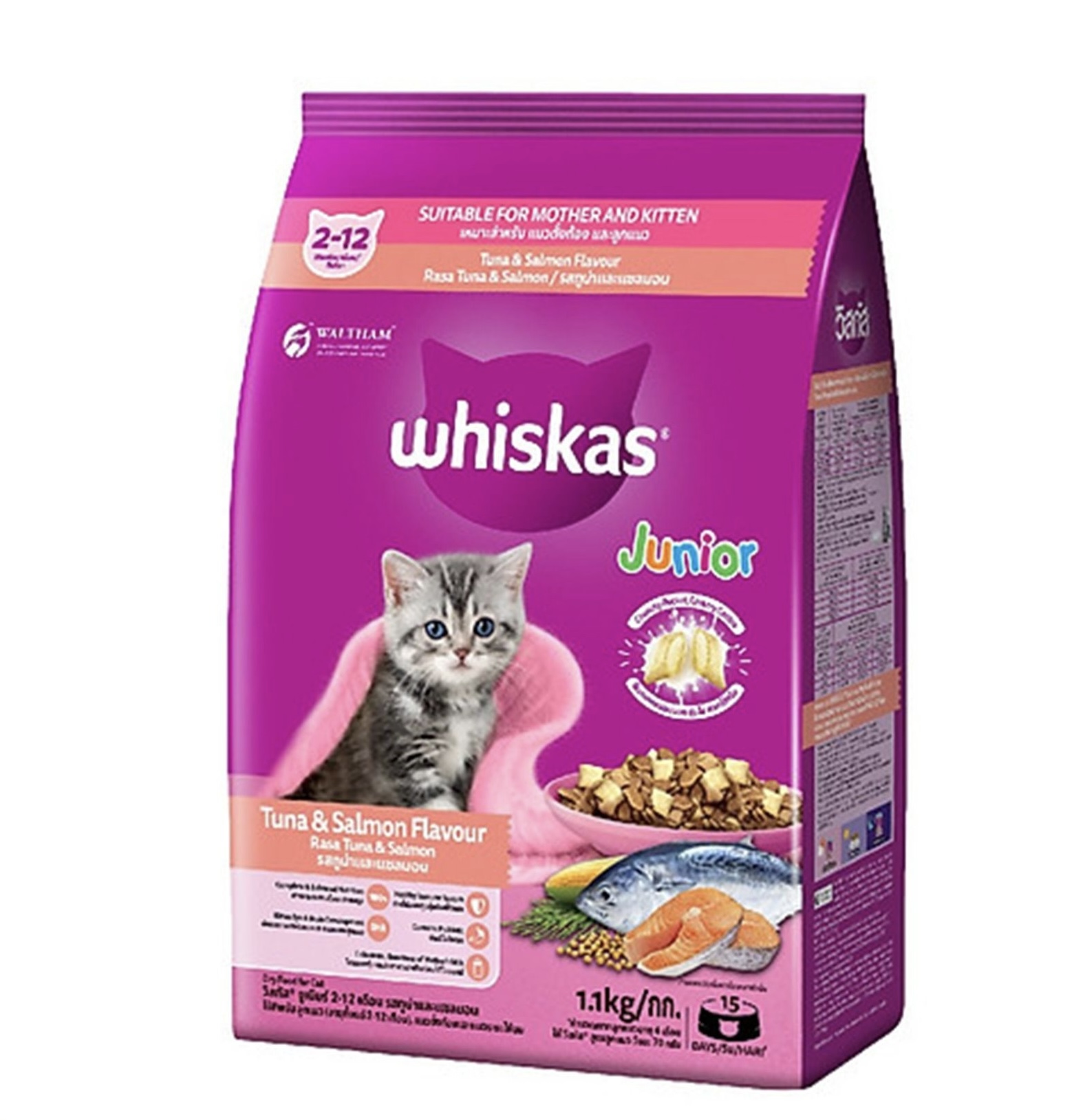 Whiskas Junior Mèo Con