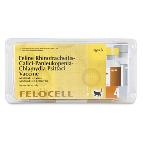 Vaccine 4 Bệnh Cho Mèo
