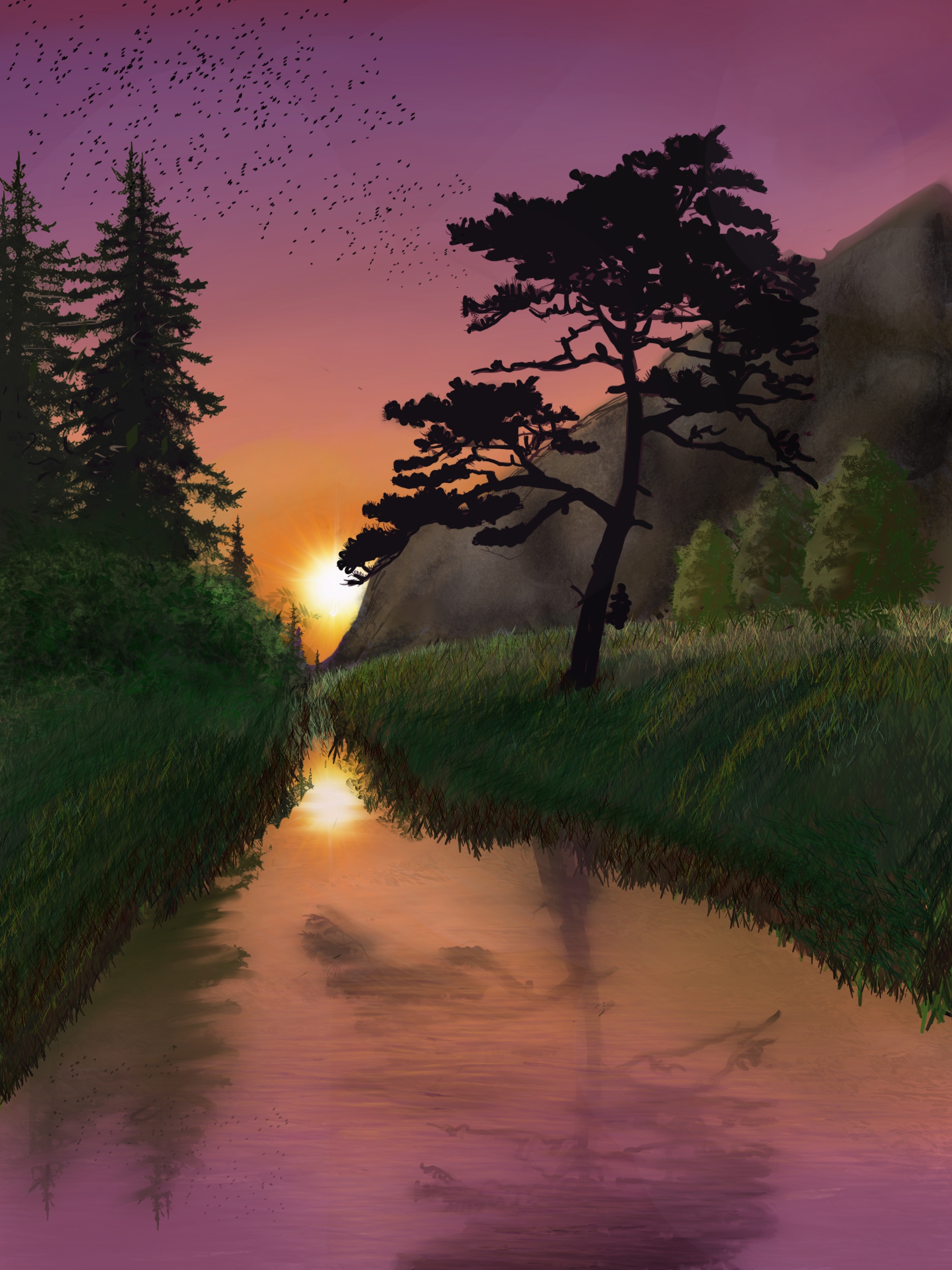 sunrise in the river