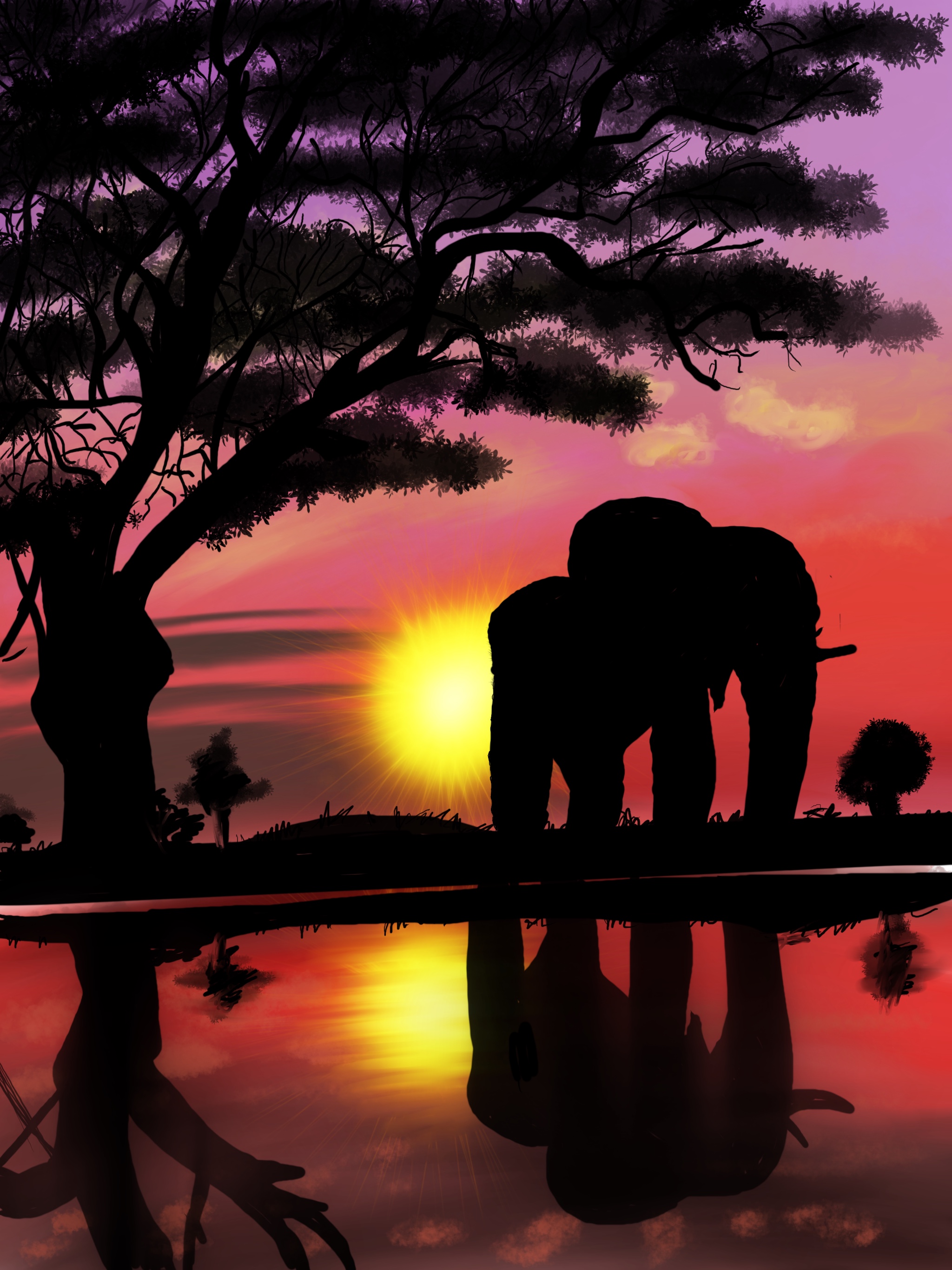 Elephant in the sunset