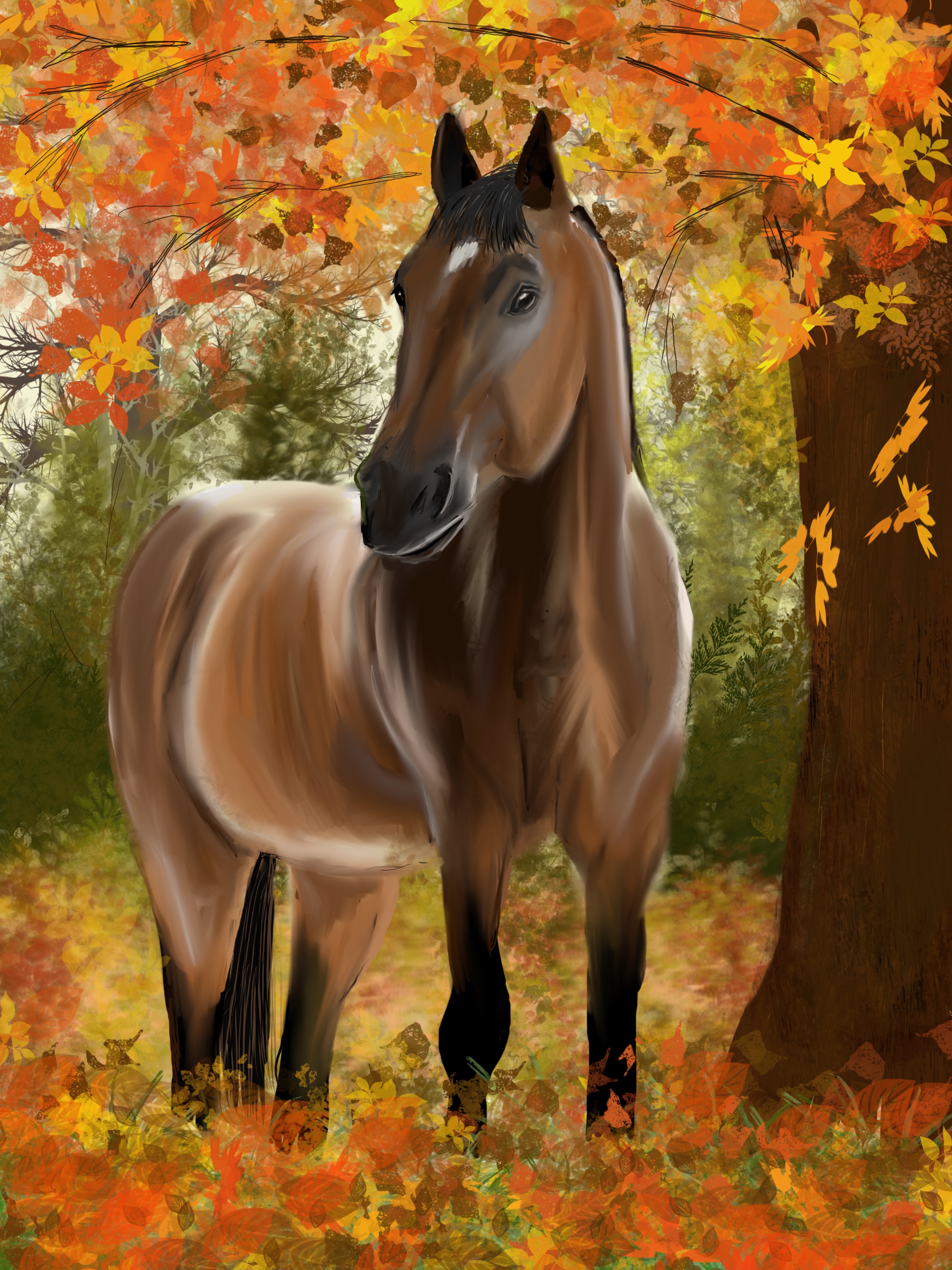 Autumnal horse
