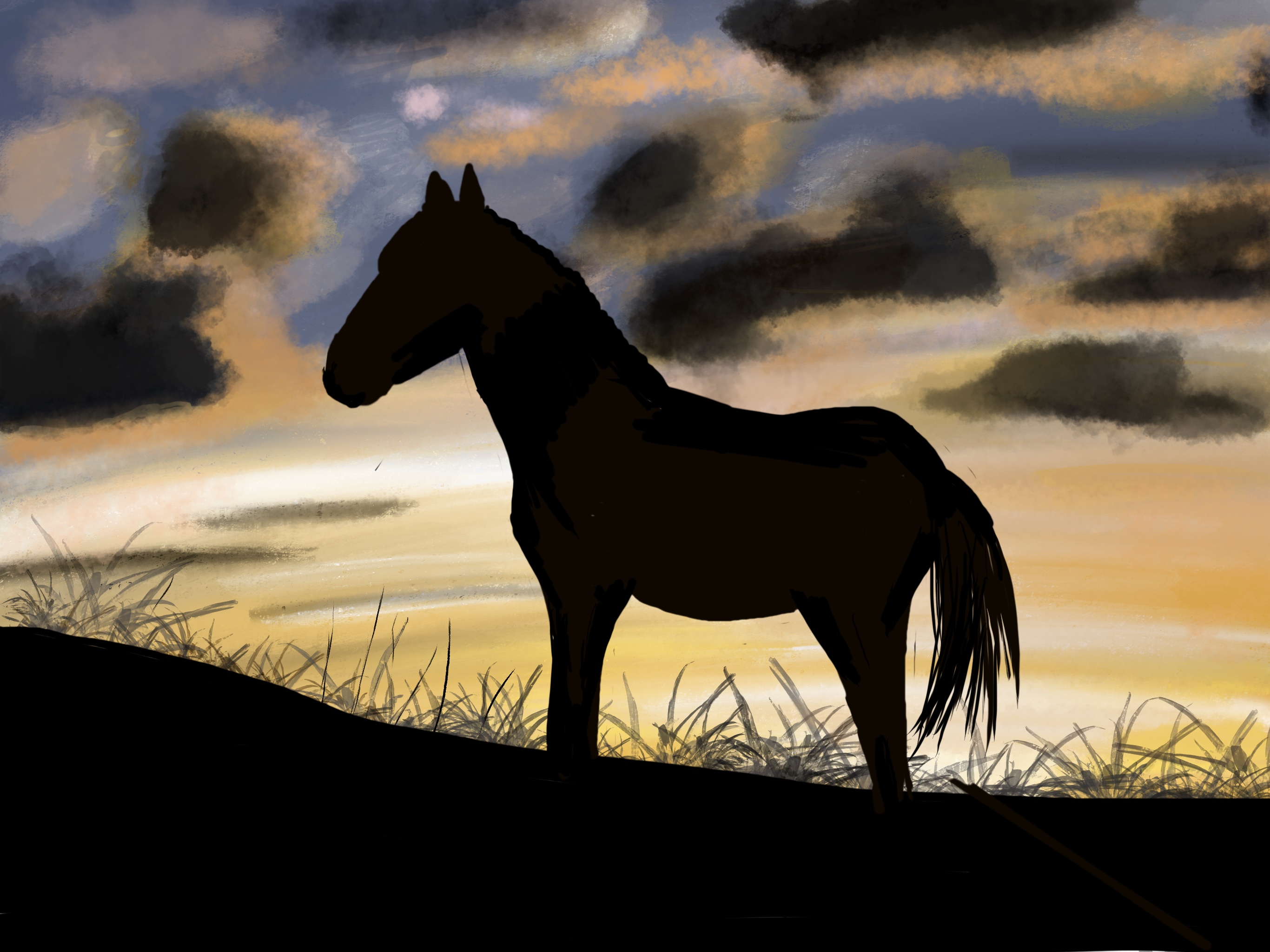 Horse silhouette