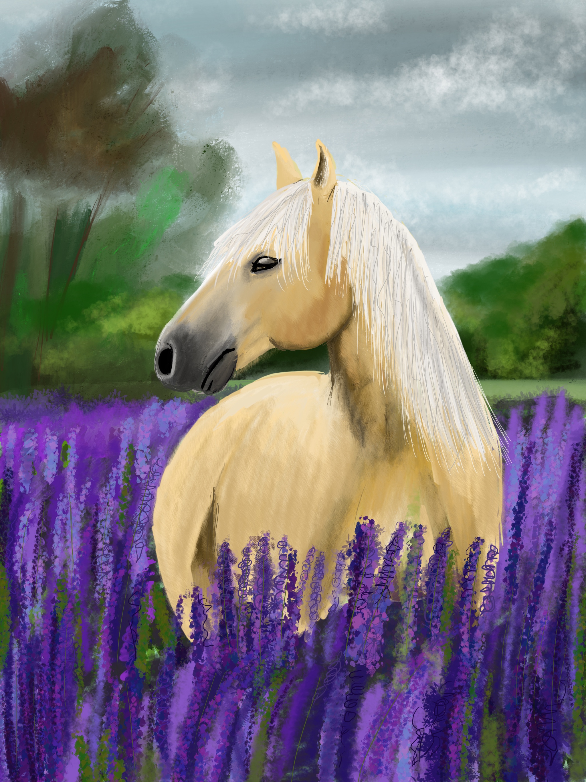 Horse in lavender