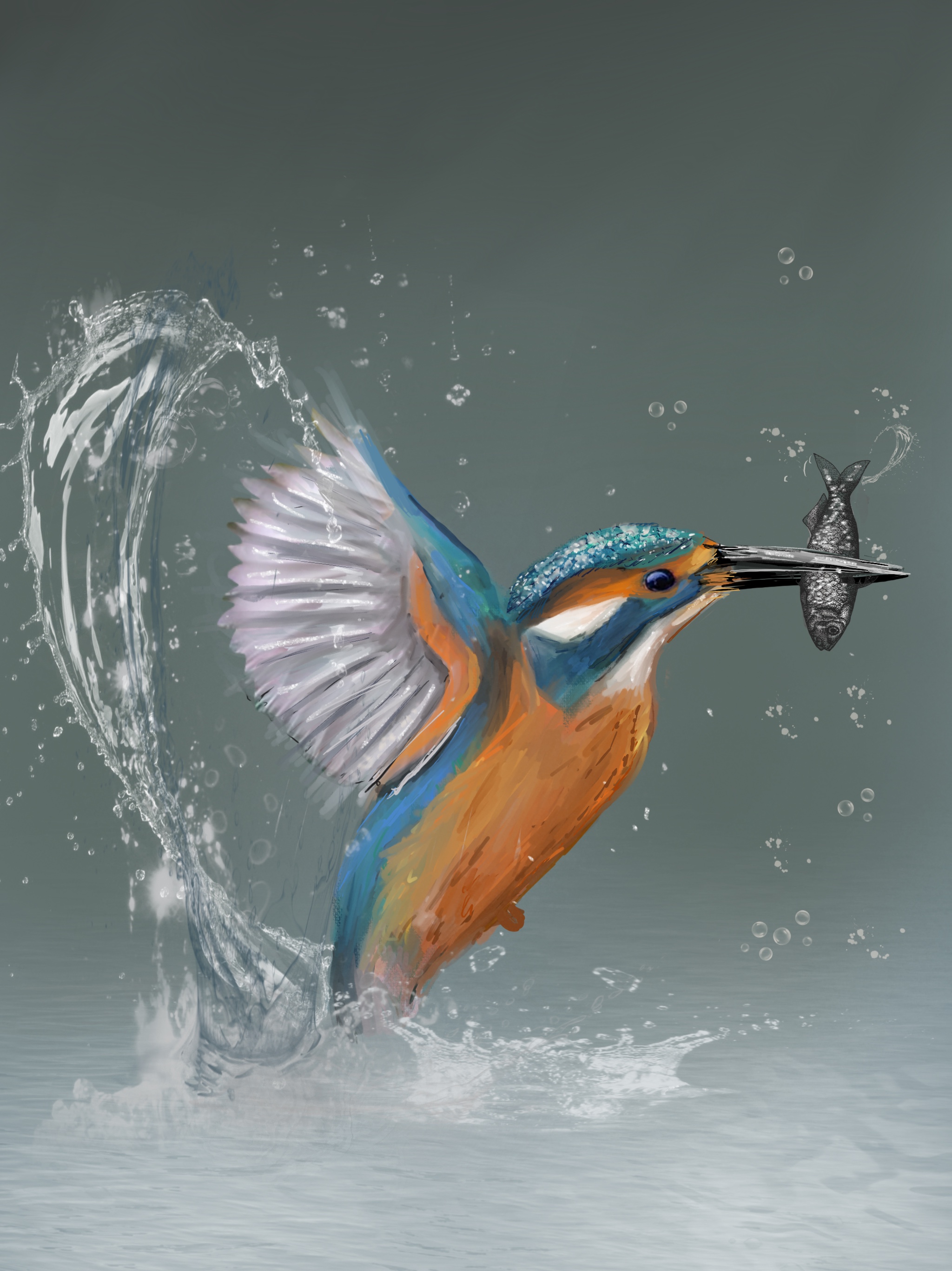 Hungry kingfisher