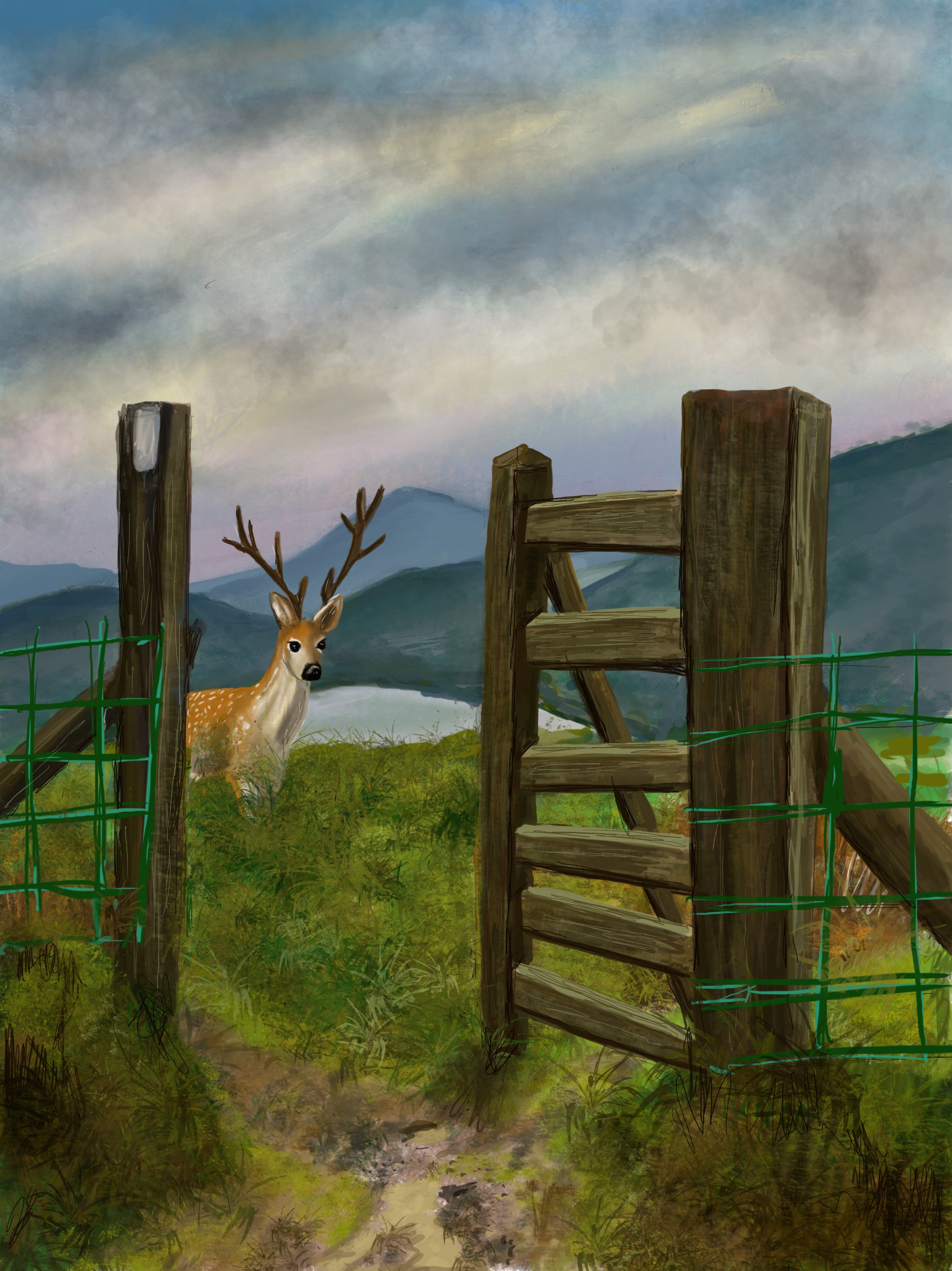 Deer peering through a gateway