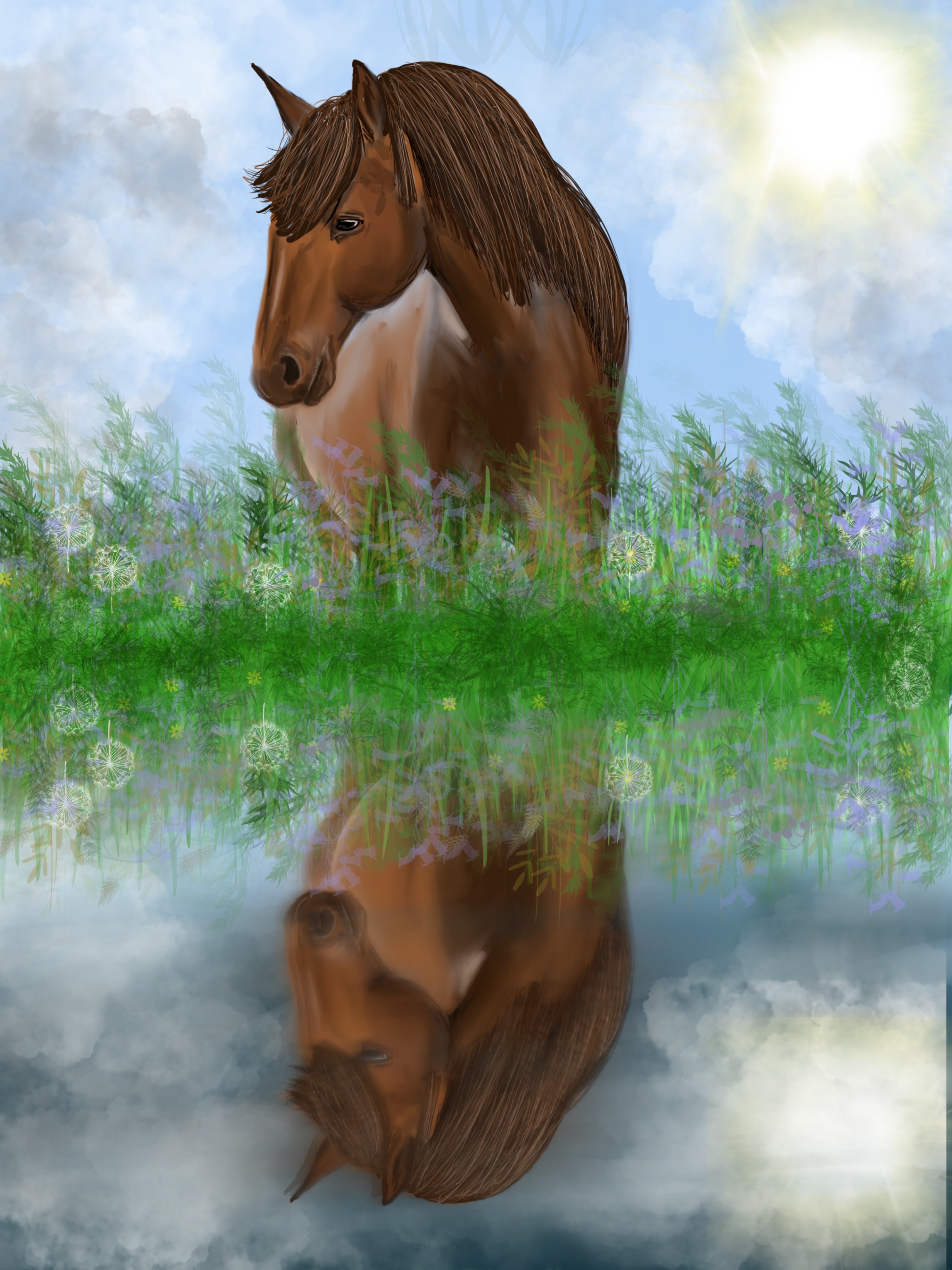 Horse reflection