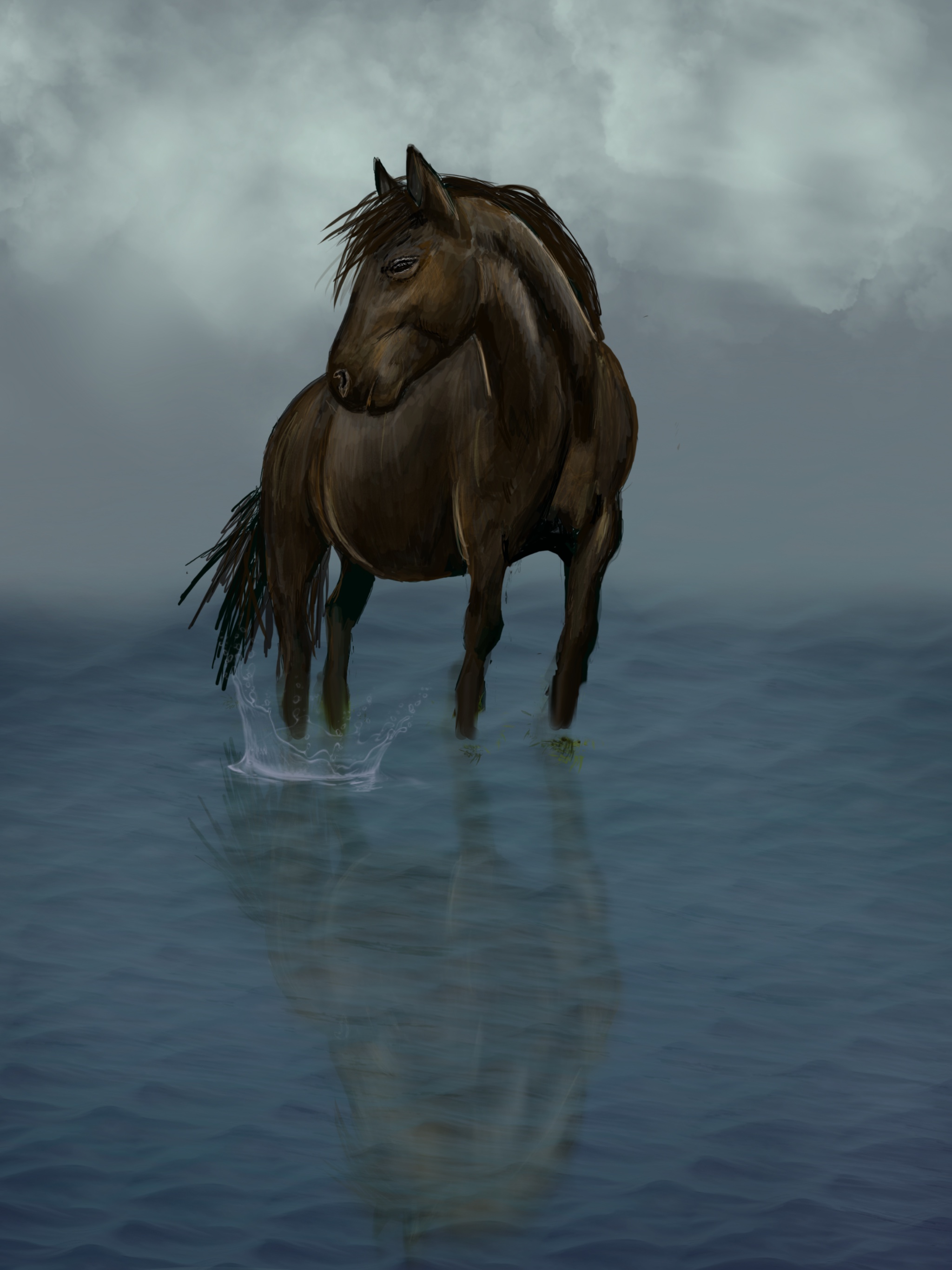 Black stallion in water