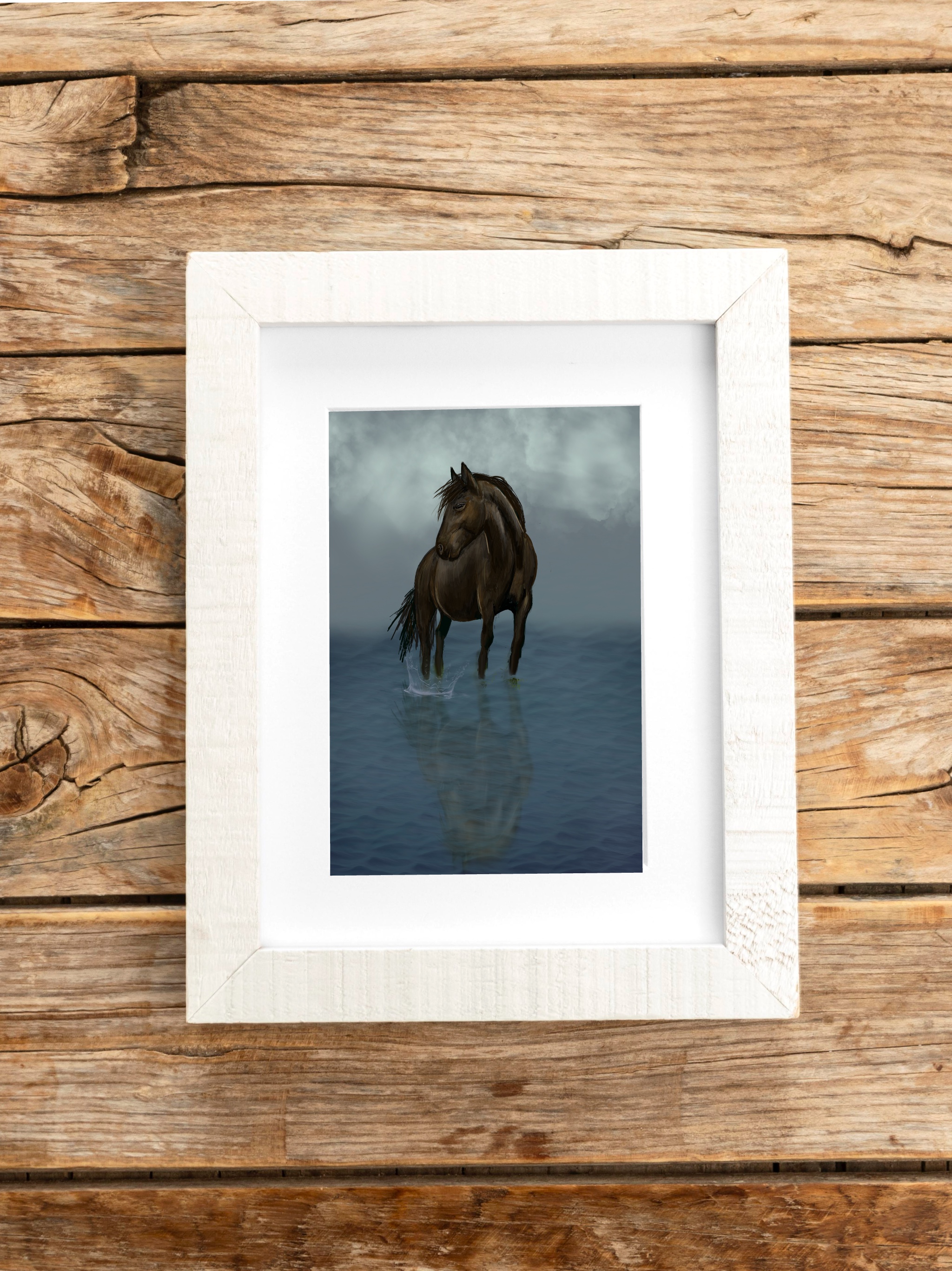 Black stallion in water