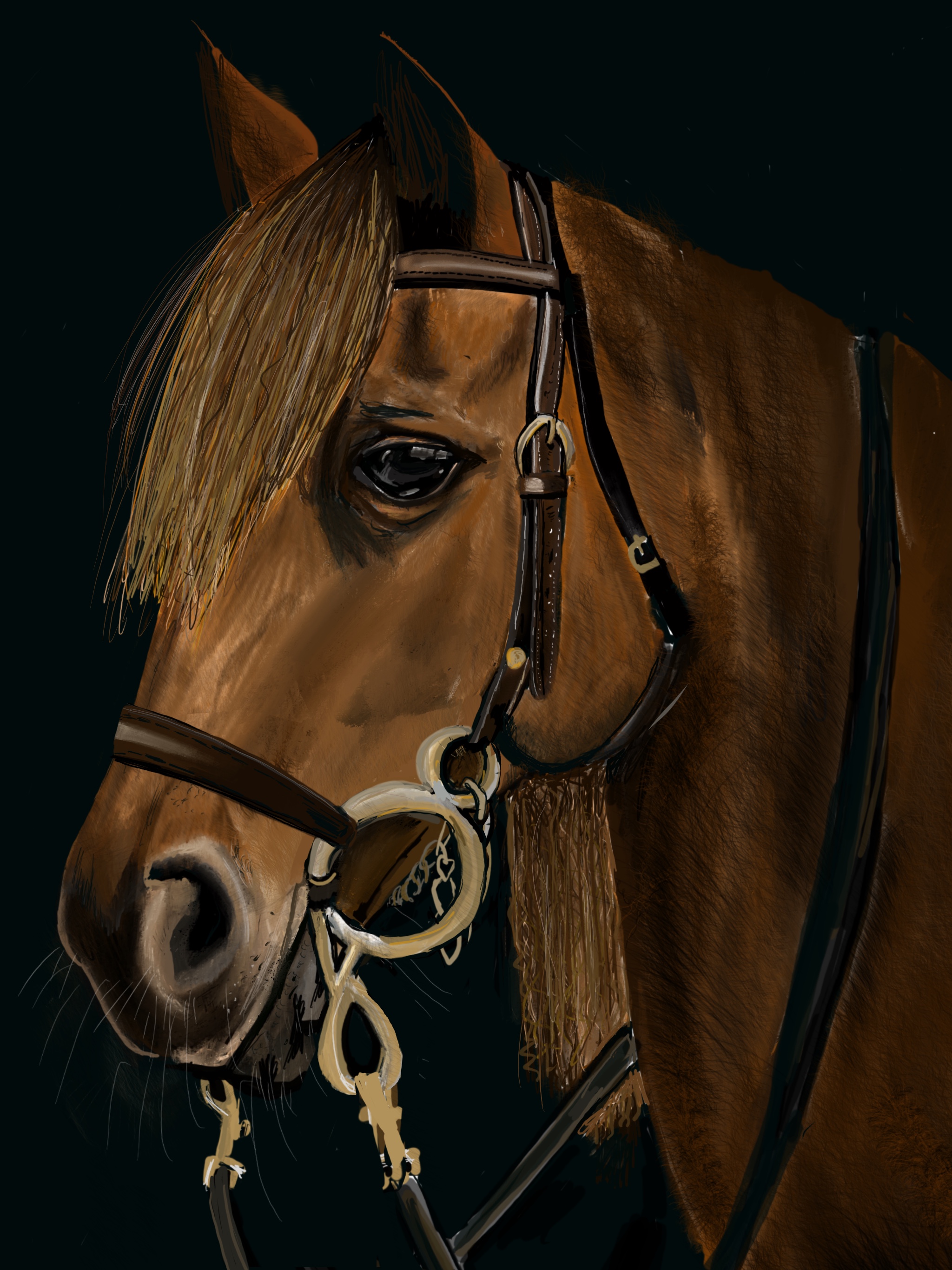 Horse portrait