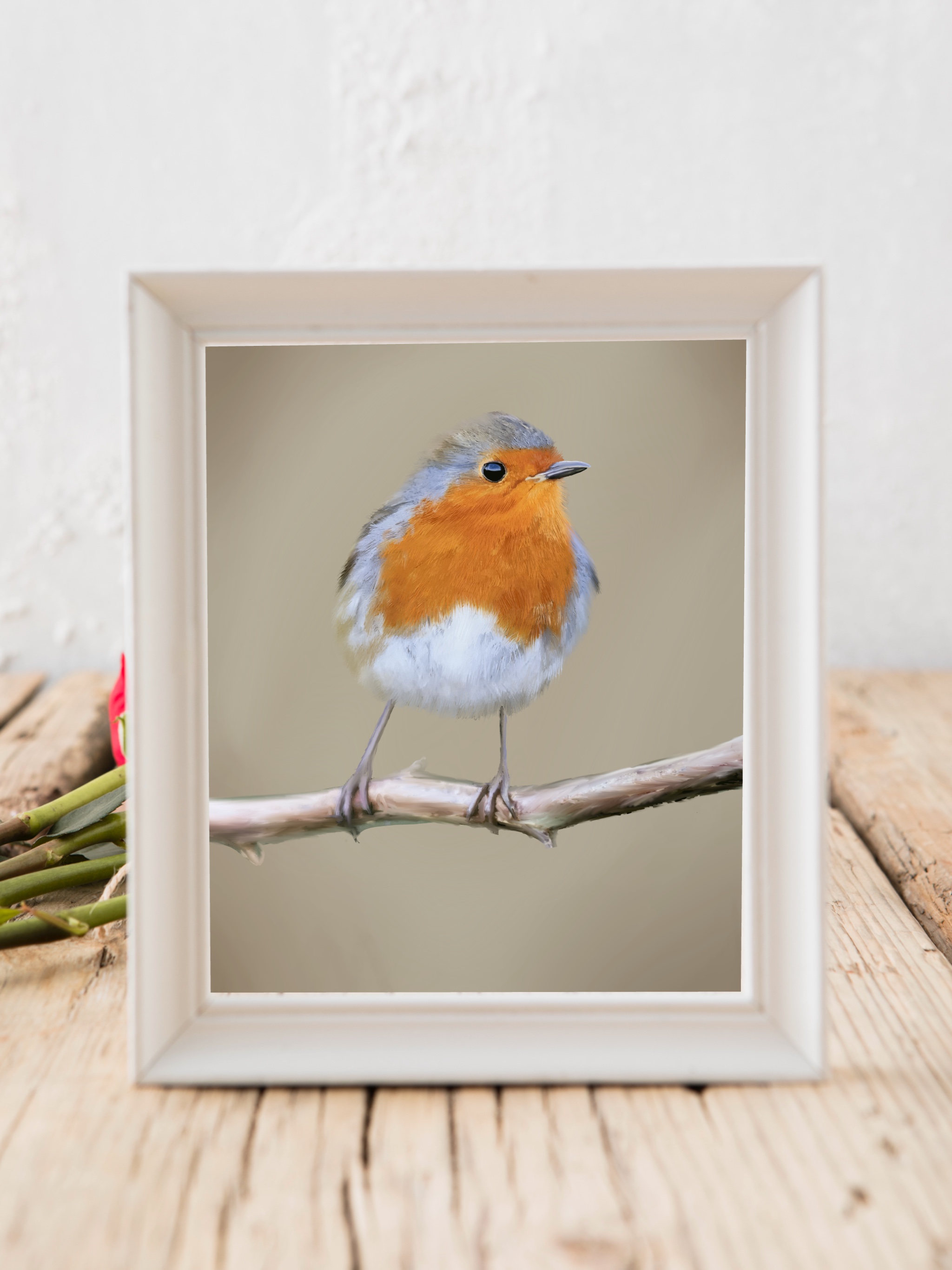 Beautiful Robin
