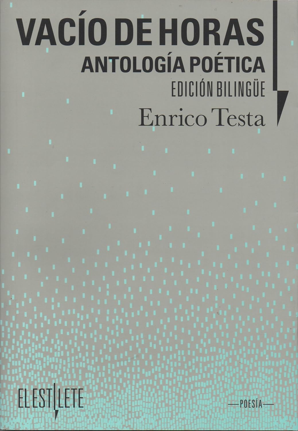 Vacío de horas. Antología poética Tapa blanda – 1 Enero 2016 Edición en Español  de Enrico Testa (Author)