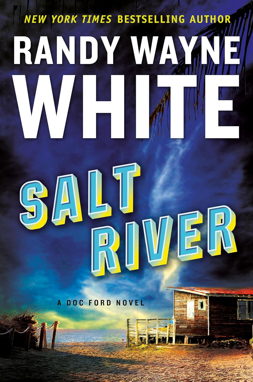 Salt River (A Doc Ford Novel) Tapa dura – 11 Febrero 2020 de Randy Wayne White 