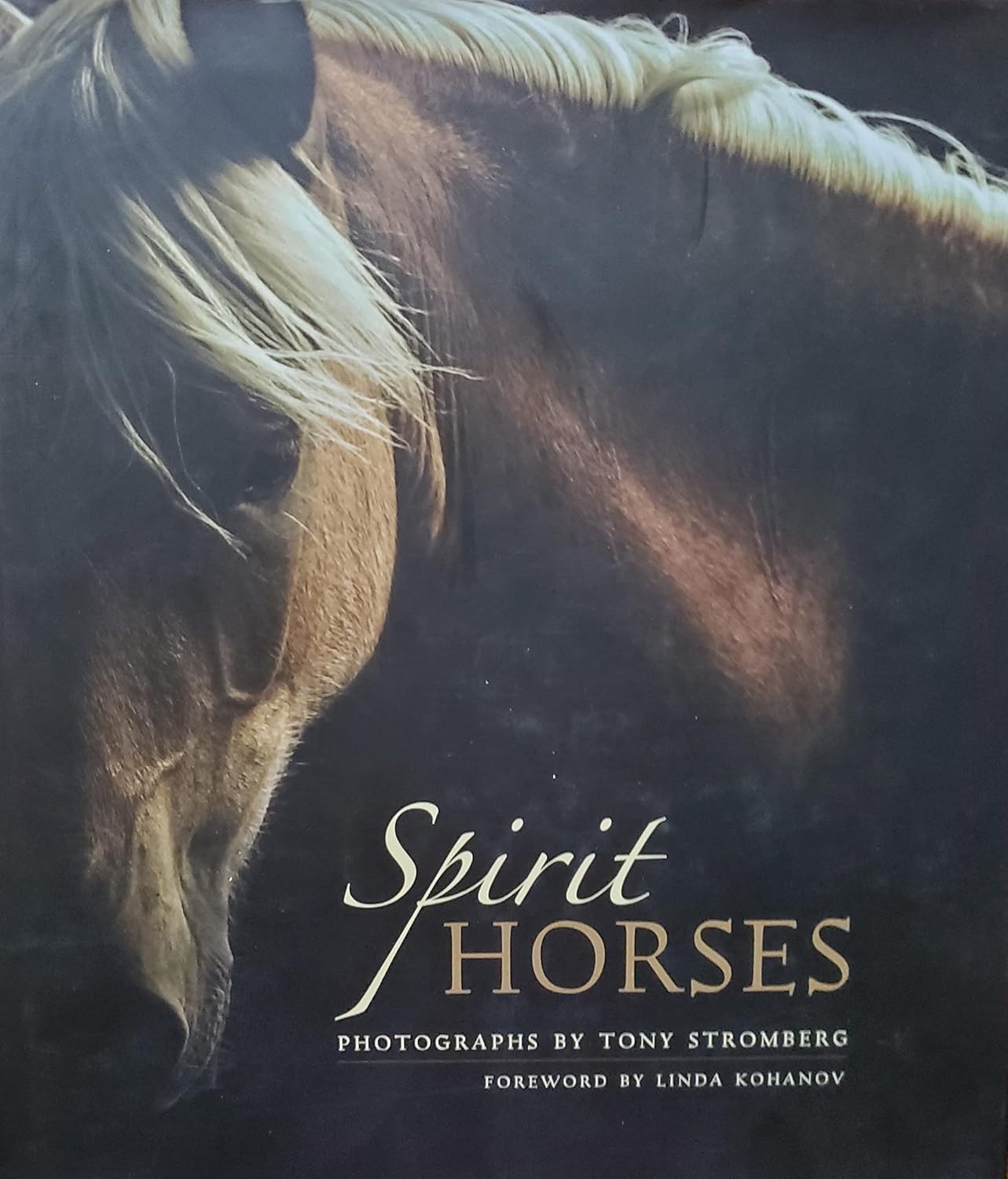 Spirit Horses Tapa dura – 15 Septiembre 2005 de Tony Stromberg (Author), Linda Kohanov (Author)