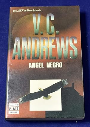 Angel Negro / Dark Angel (Casteel) (Spanish Edition) Tapa blanda – 1 Enero 1998 de V.C. Andrews (Author)