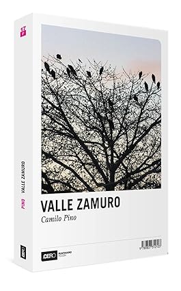 Valle Zamuro Tapa blanda – 1 Enero 2010 de Camilo Pino (Author)