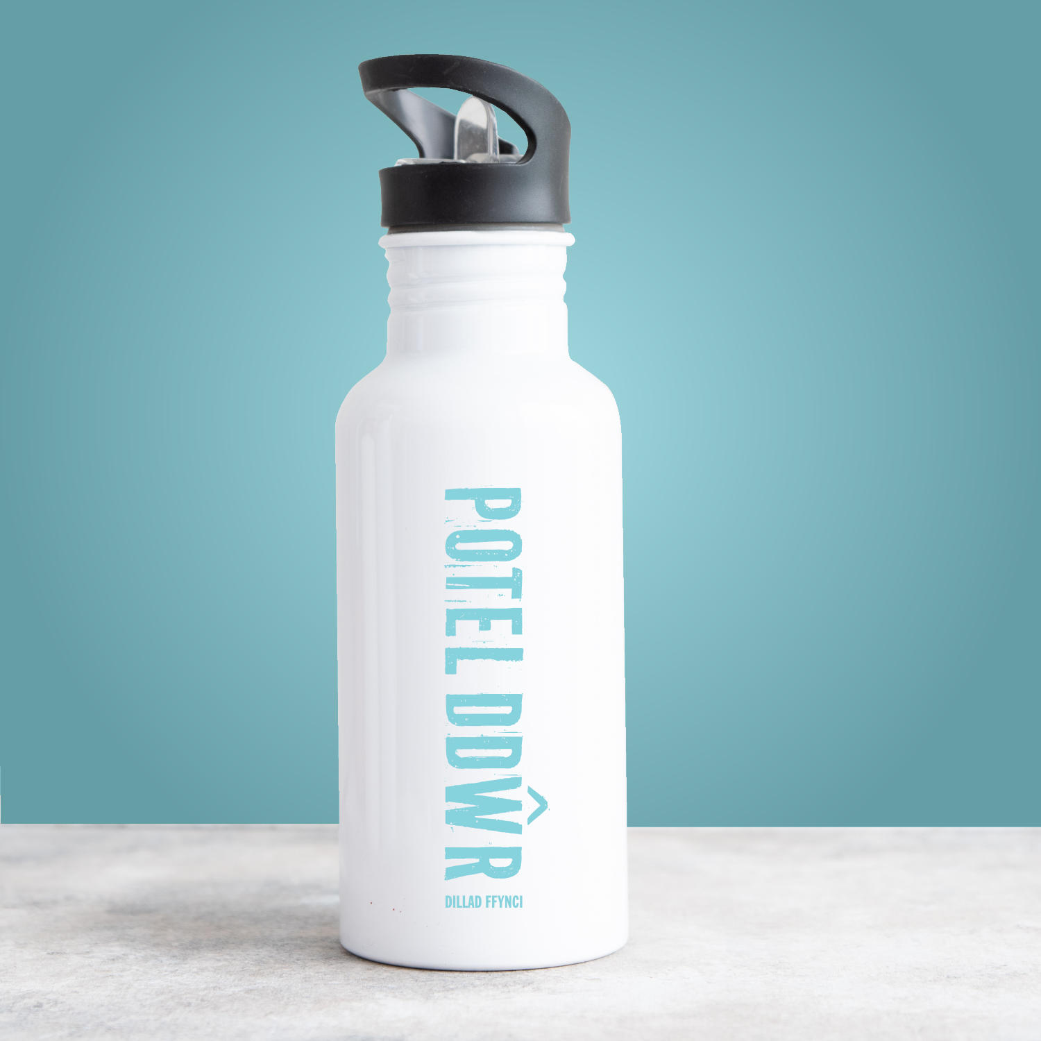 Steel Water Bottle - Potel Ddwr