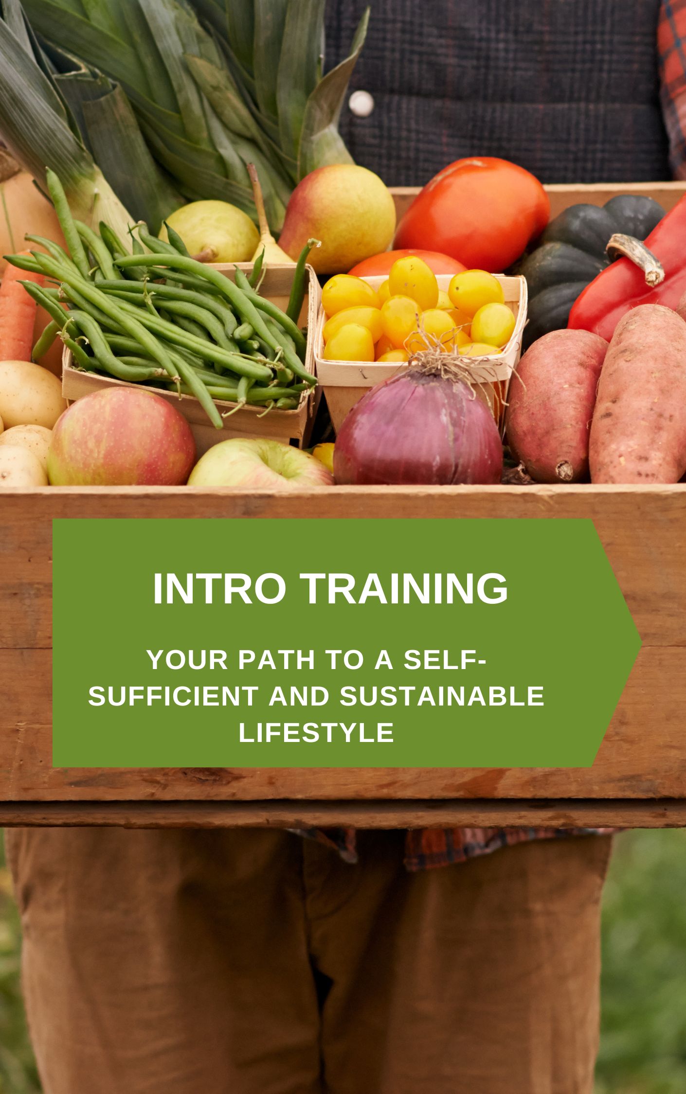 Your Path to a Self-Sufficient and Sustainable Lifestyle