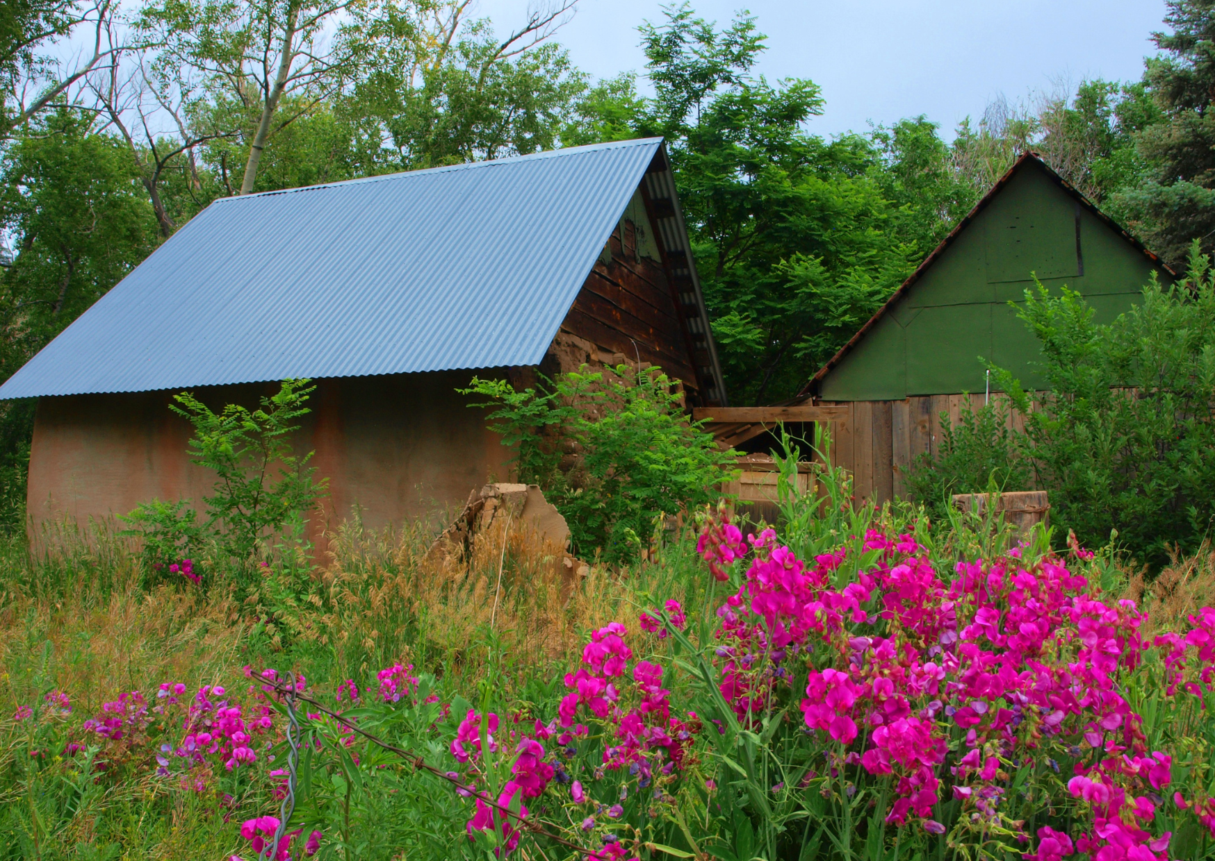 Homestead Living Guide